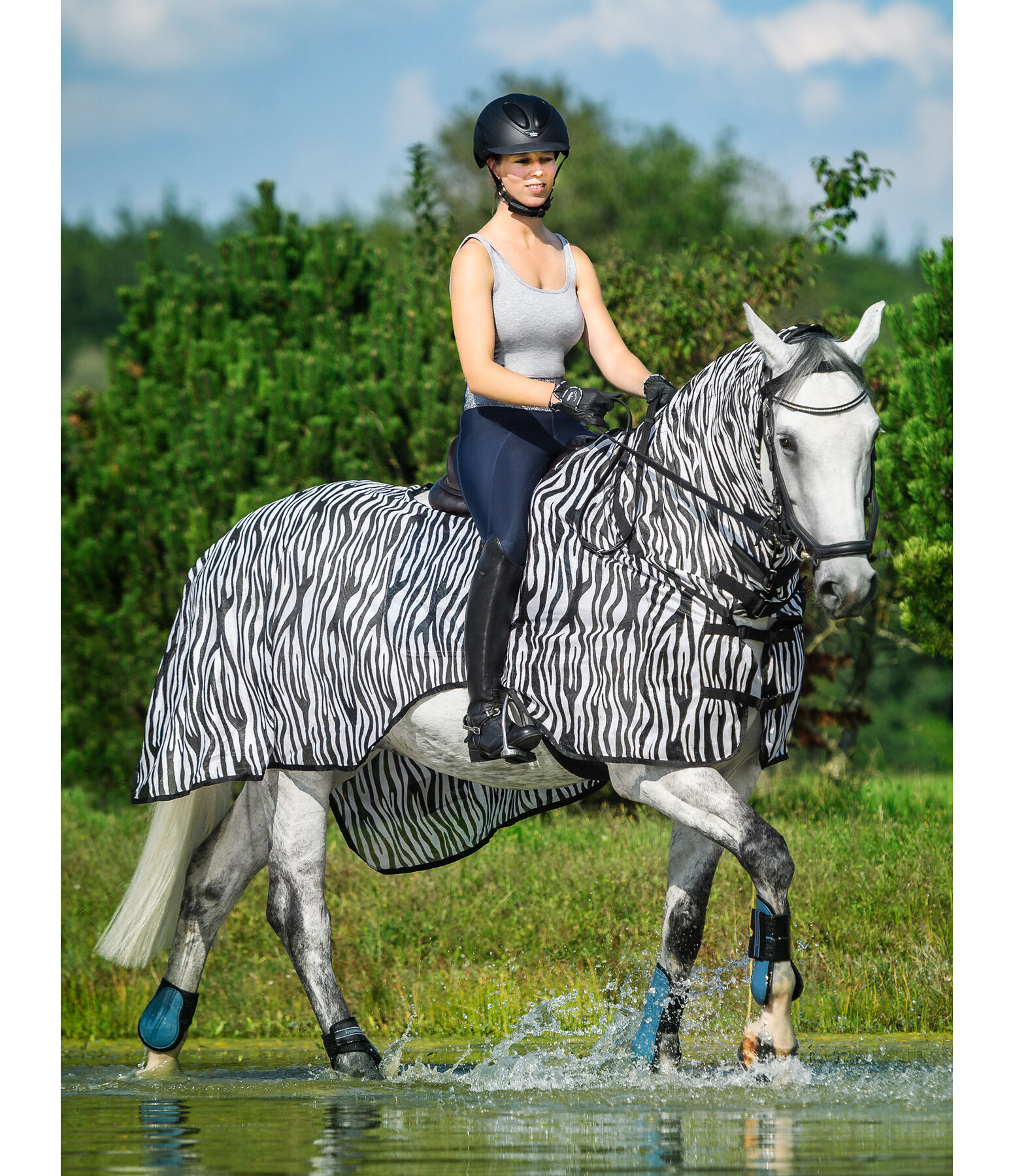 Zebra Exercise Fly Rug