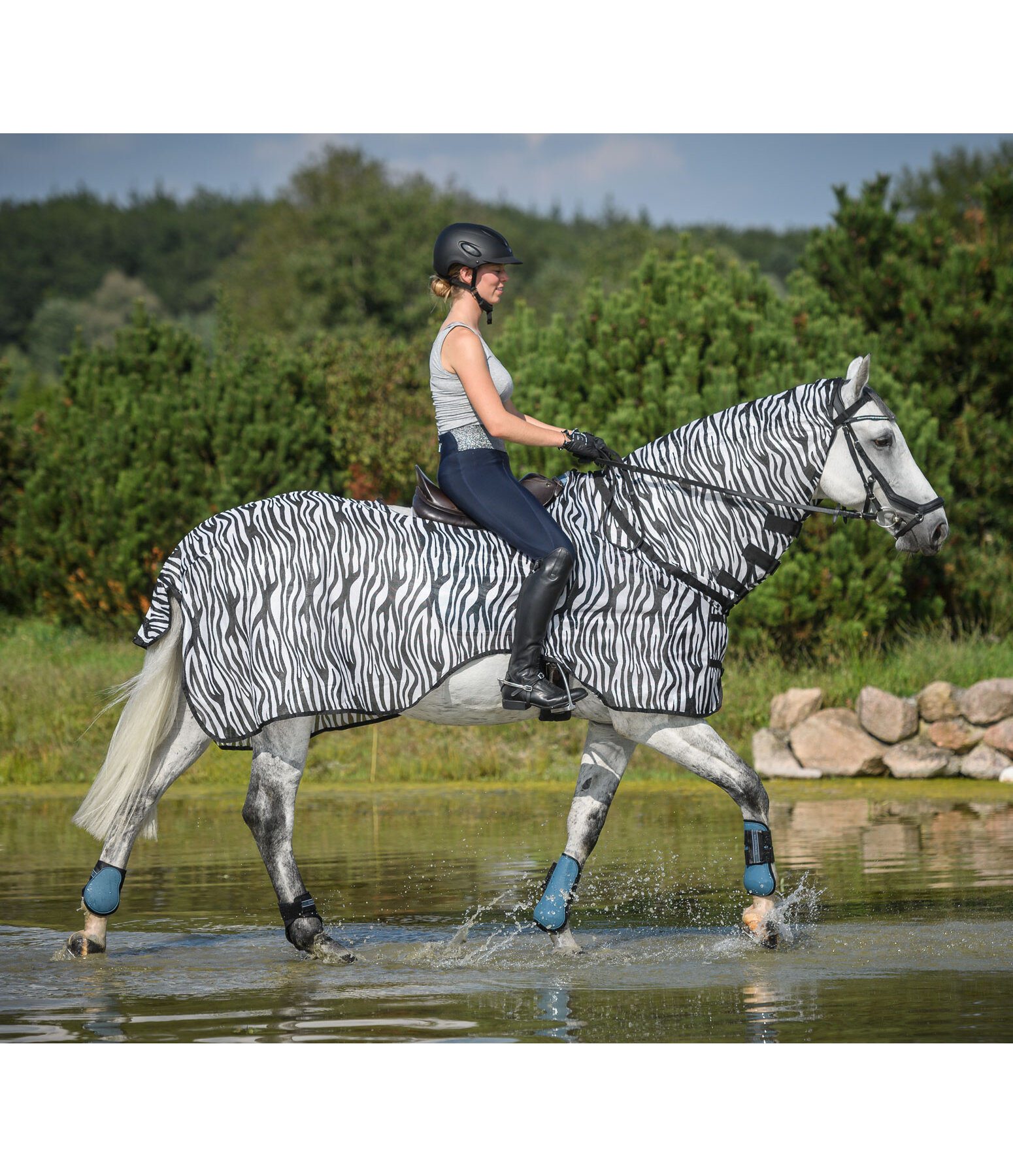 Zebra Exercise Fly Rug