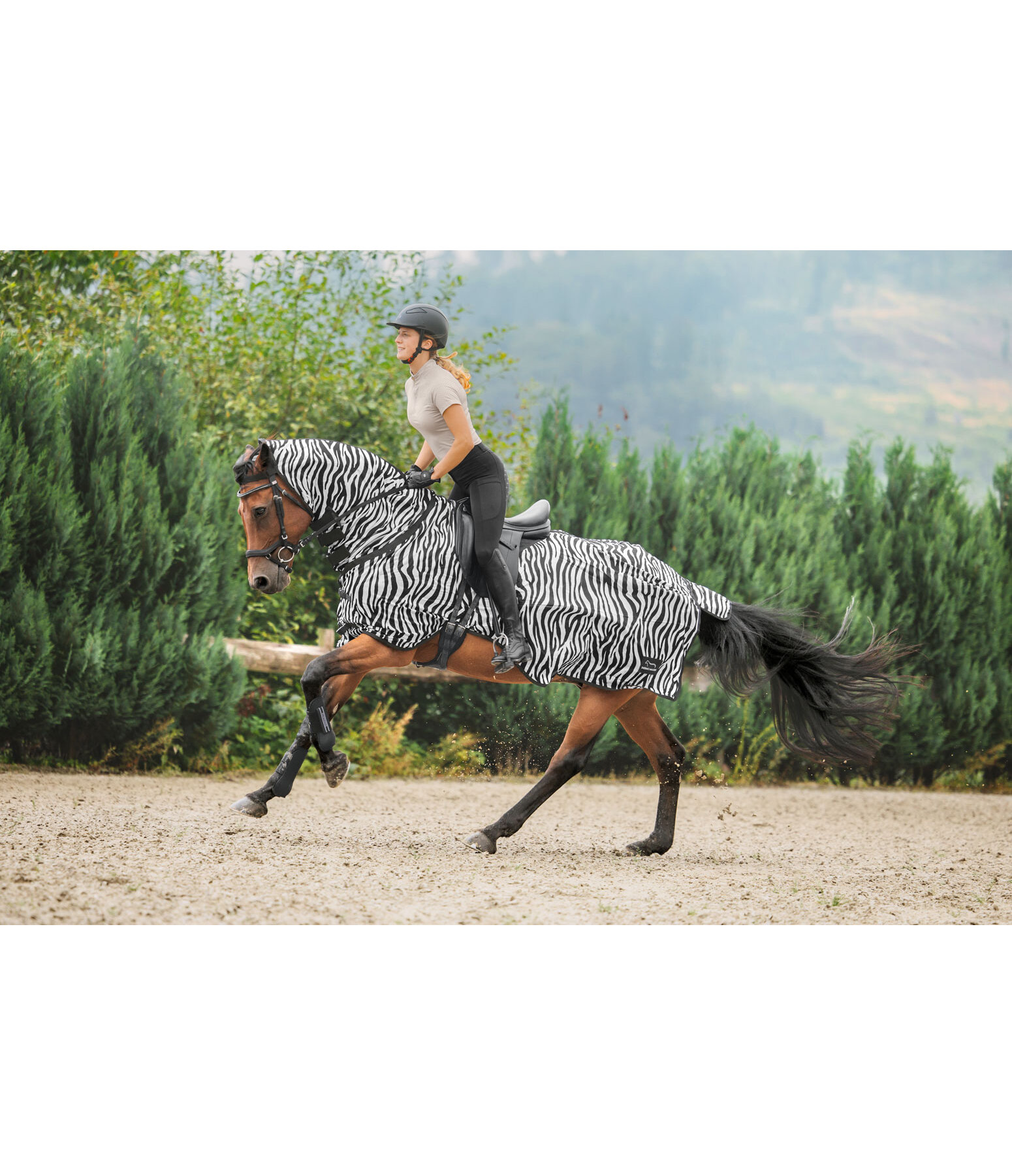 Zebra Exercise Fly Rug