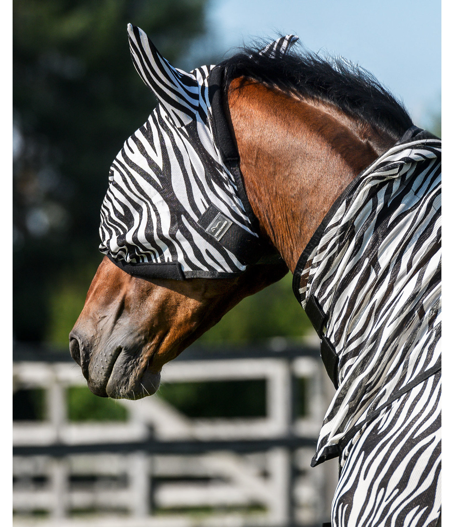 Fly Mask Zebra