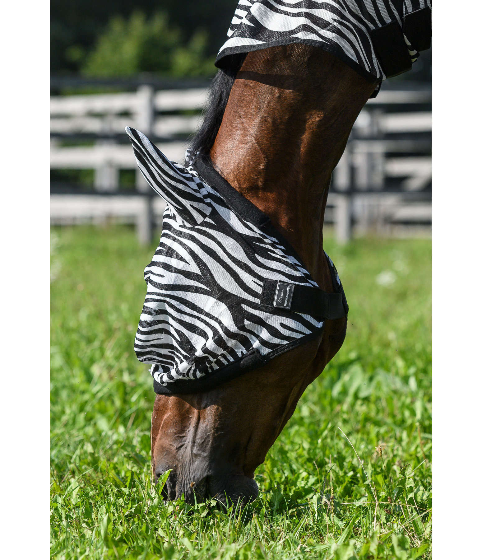 Fly Mask Zebra