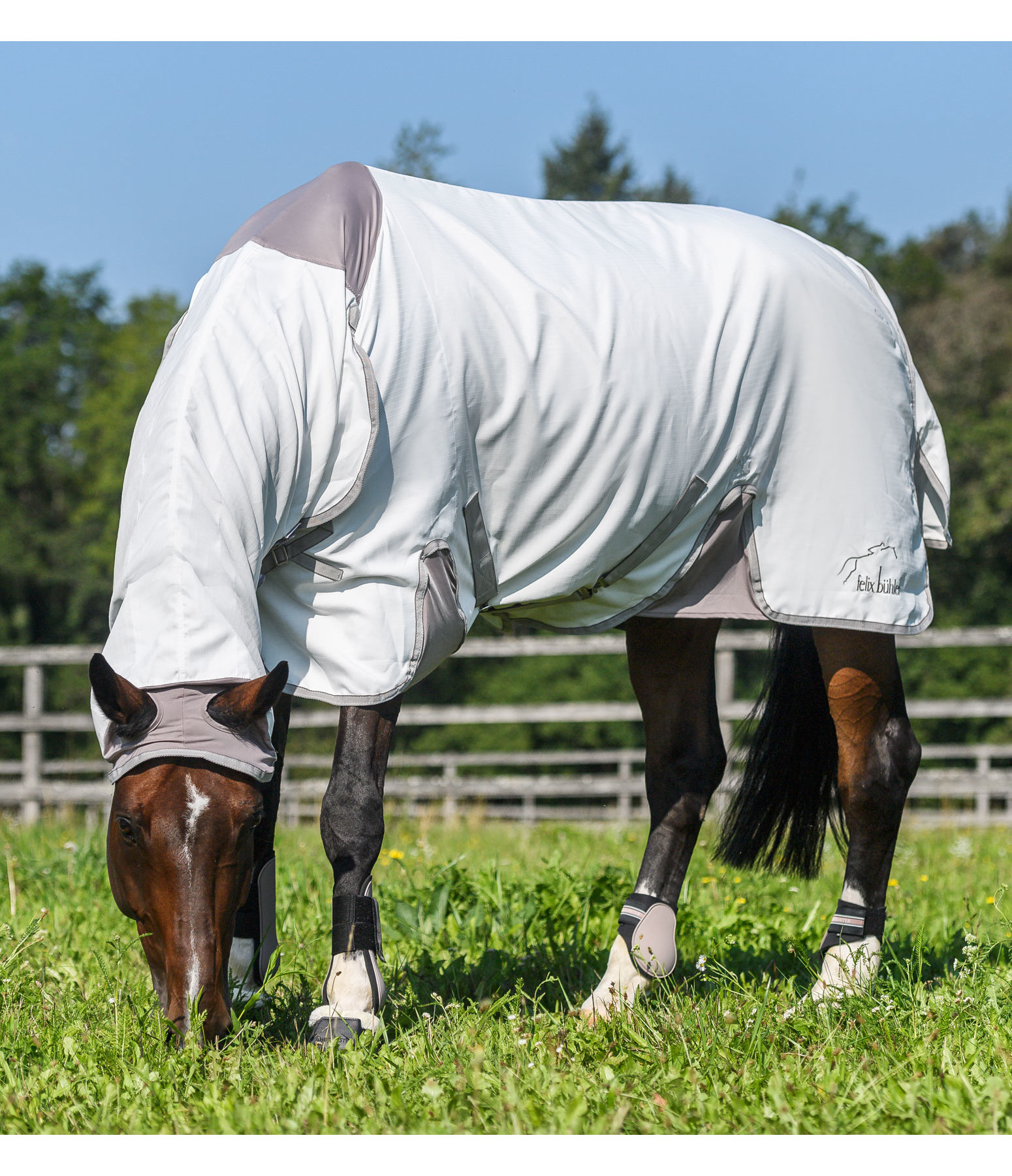Fly and Sweet Itch Rug Combo II Kramer Equestrian