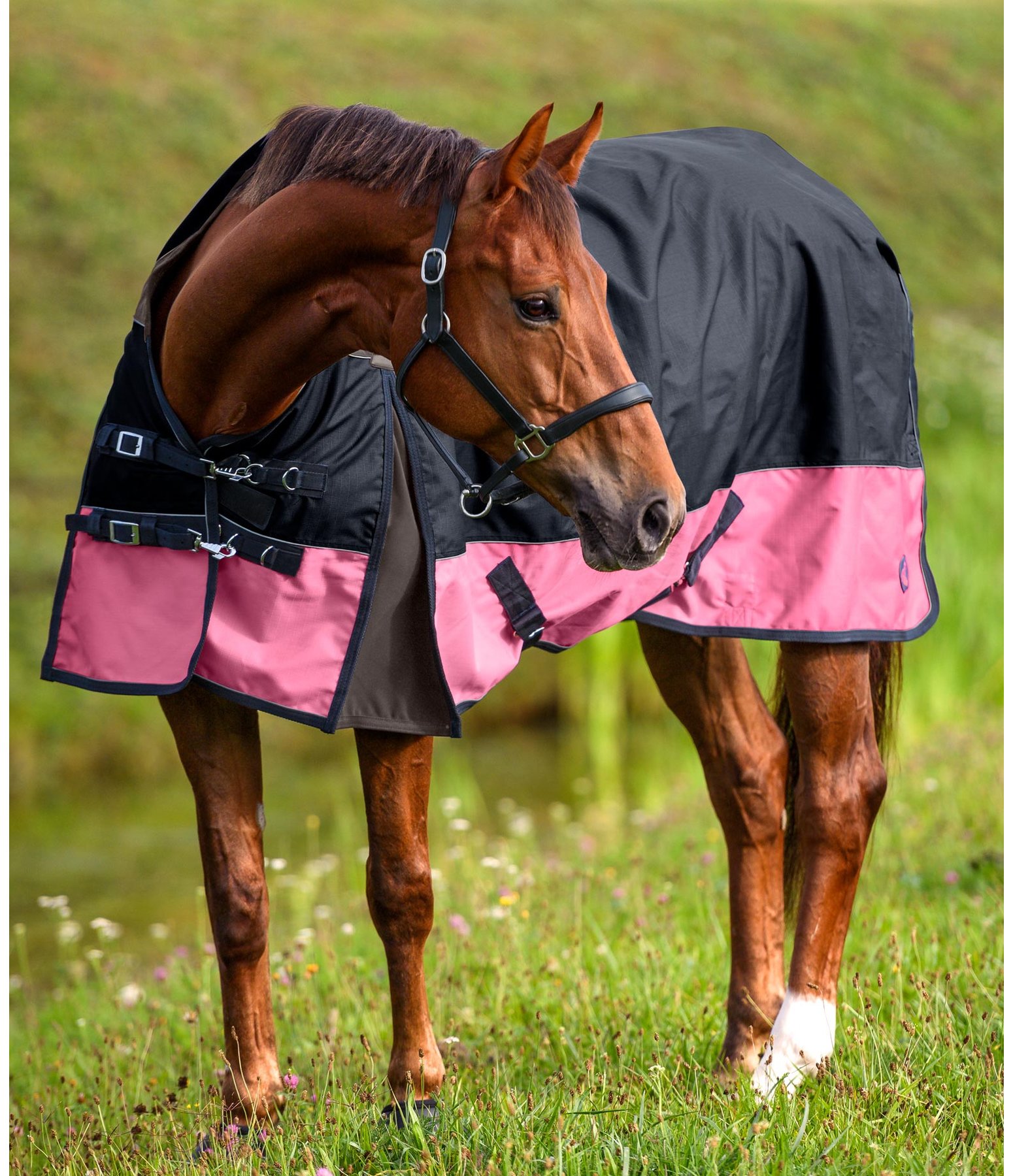 Turnout Rug High Neck Lissabon Lightweight Turnout Rugs Kramer