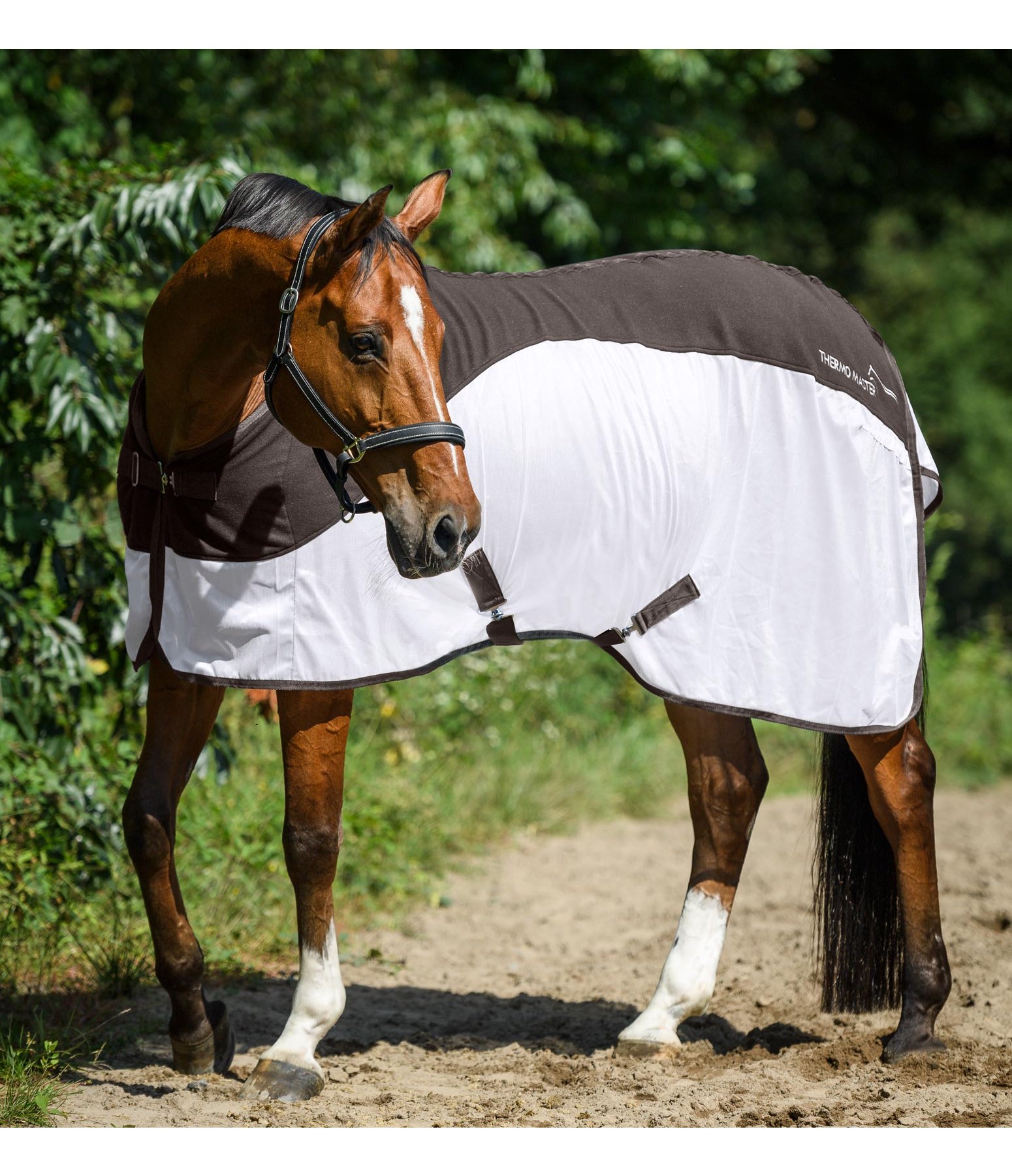 Fly Rug Multifunctional Travel Rugs & BetweenSeasons Rugs Kramer