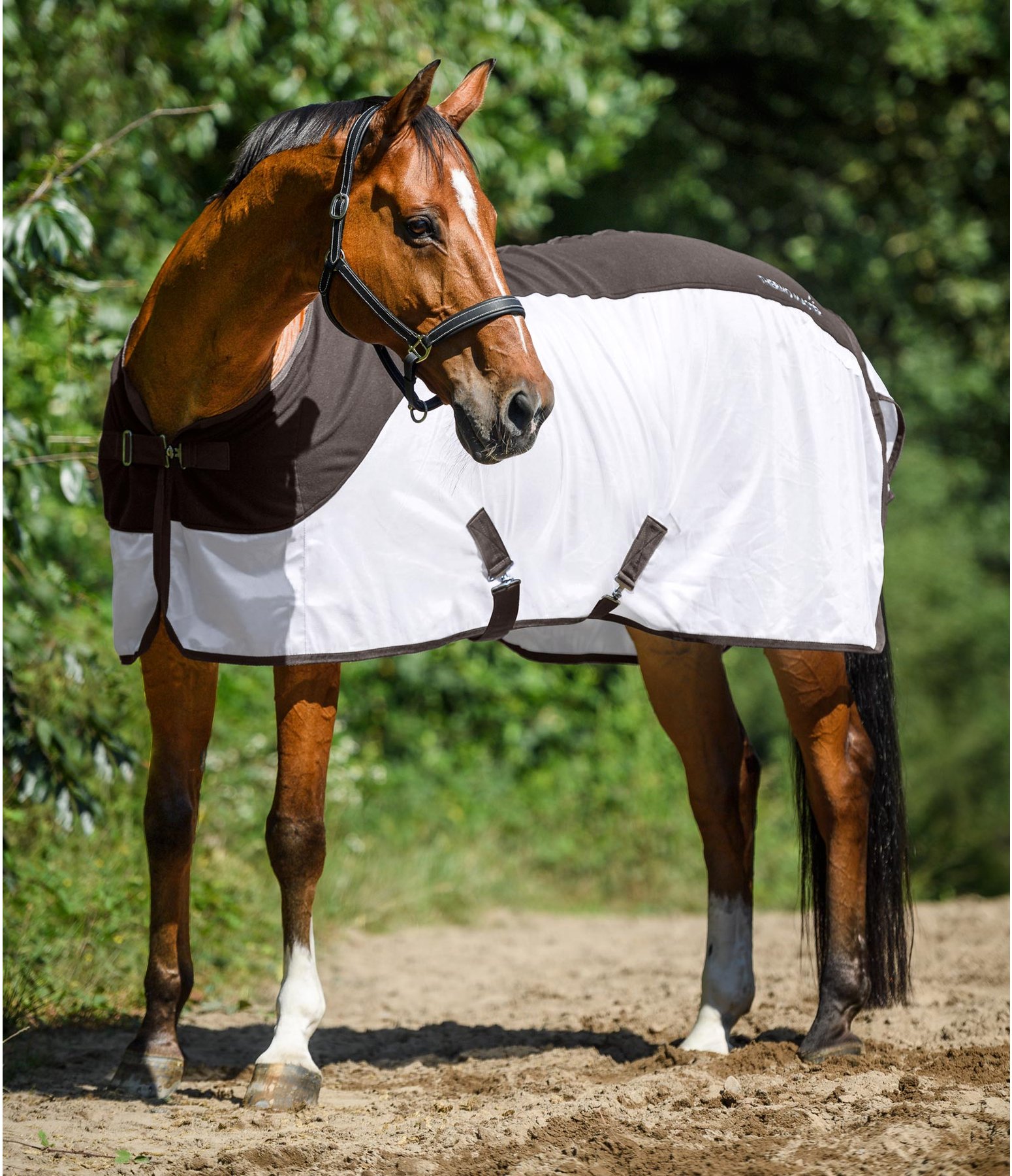 Fly Rug Multifunctional Travel Rugs & BetweenSeasons Rugs Kramer