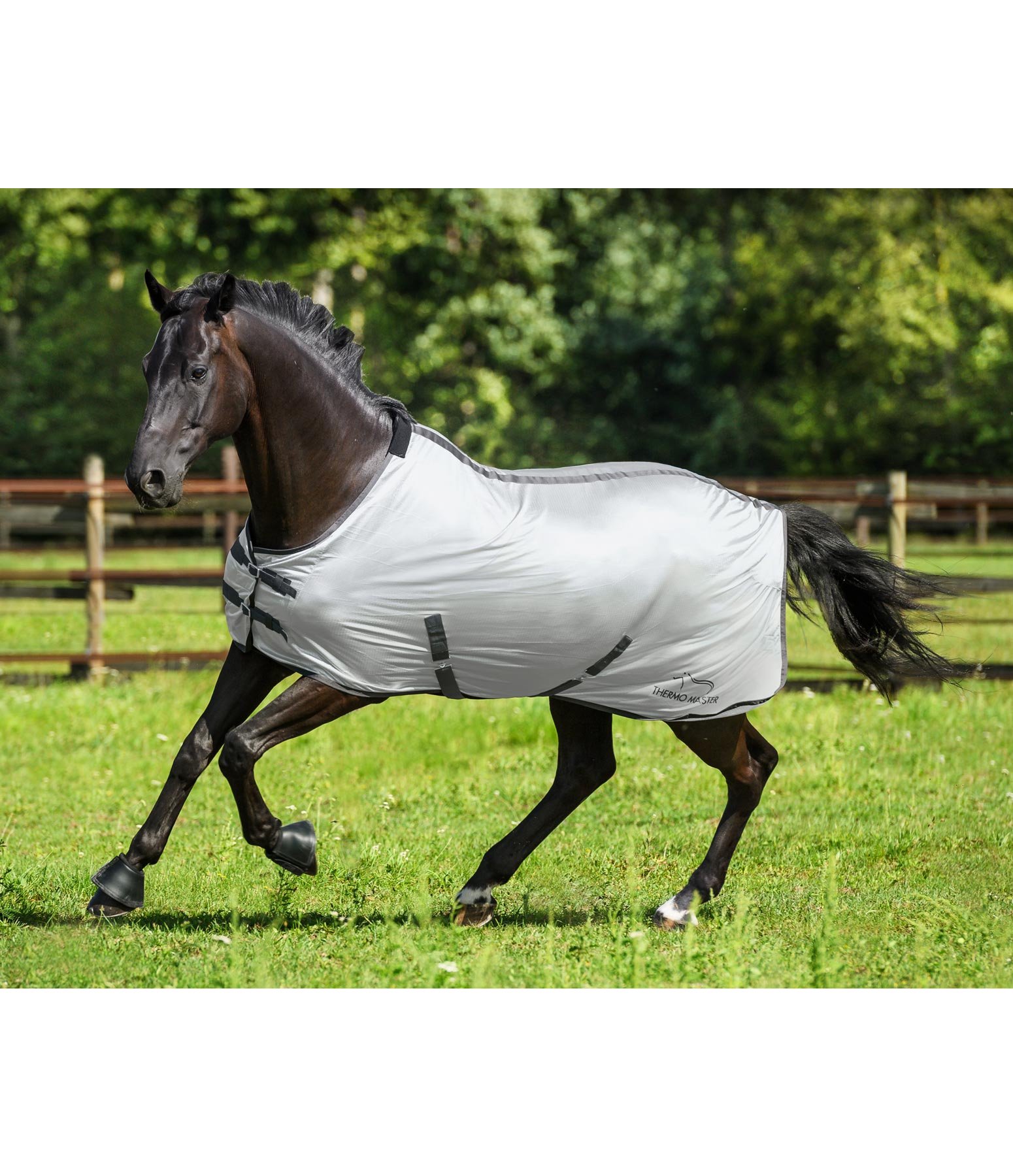 Fly Rug Silver Shine Travel Rugs & BetweenSeasons Rugs Kramer