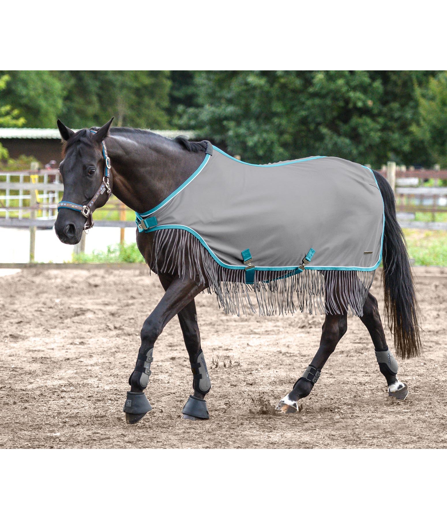 Fly Walker Rug Marino with Fringes Kramer Equestrian