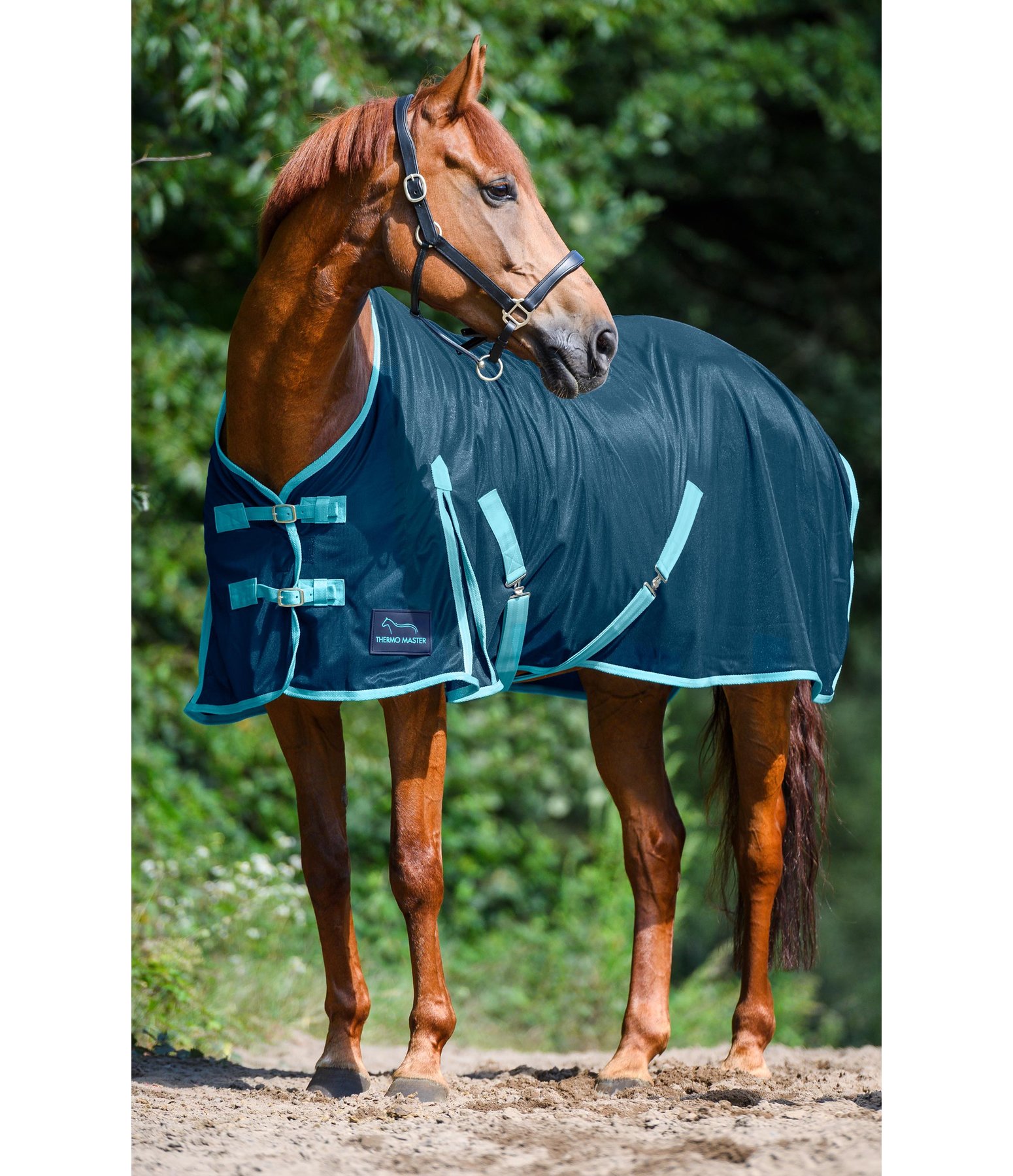 2 in 1 Fly Rug EasyFly Fly Rugs Kramer Equestrian