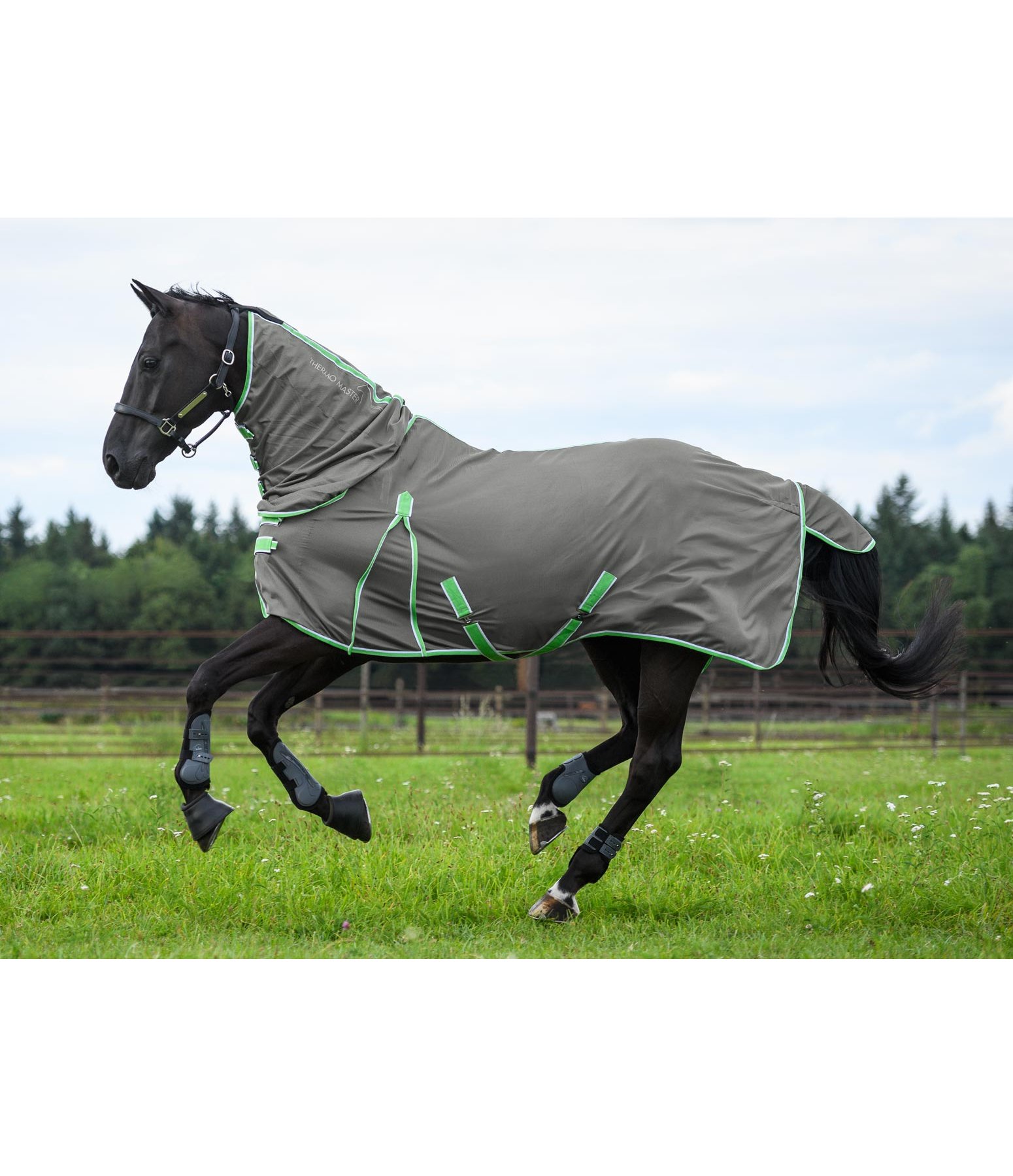Full Neck Fly Rug with roll up Neck Cover Kramer Equestrian