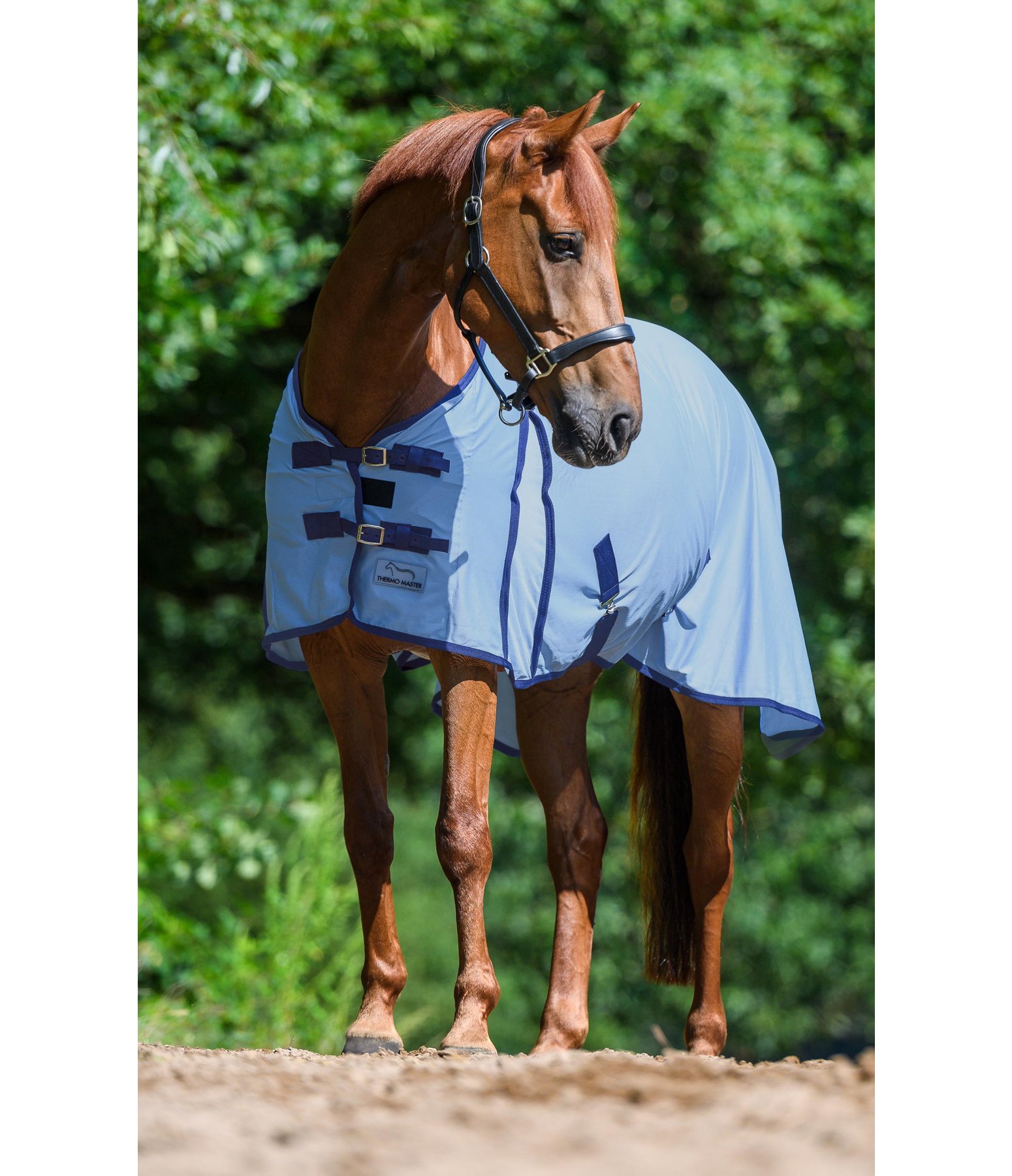 2 in 1 Fly Rug Basic Fly Rugs & Accessories Kramer Equestrian