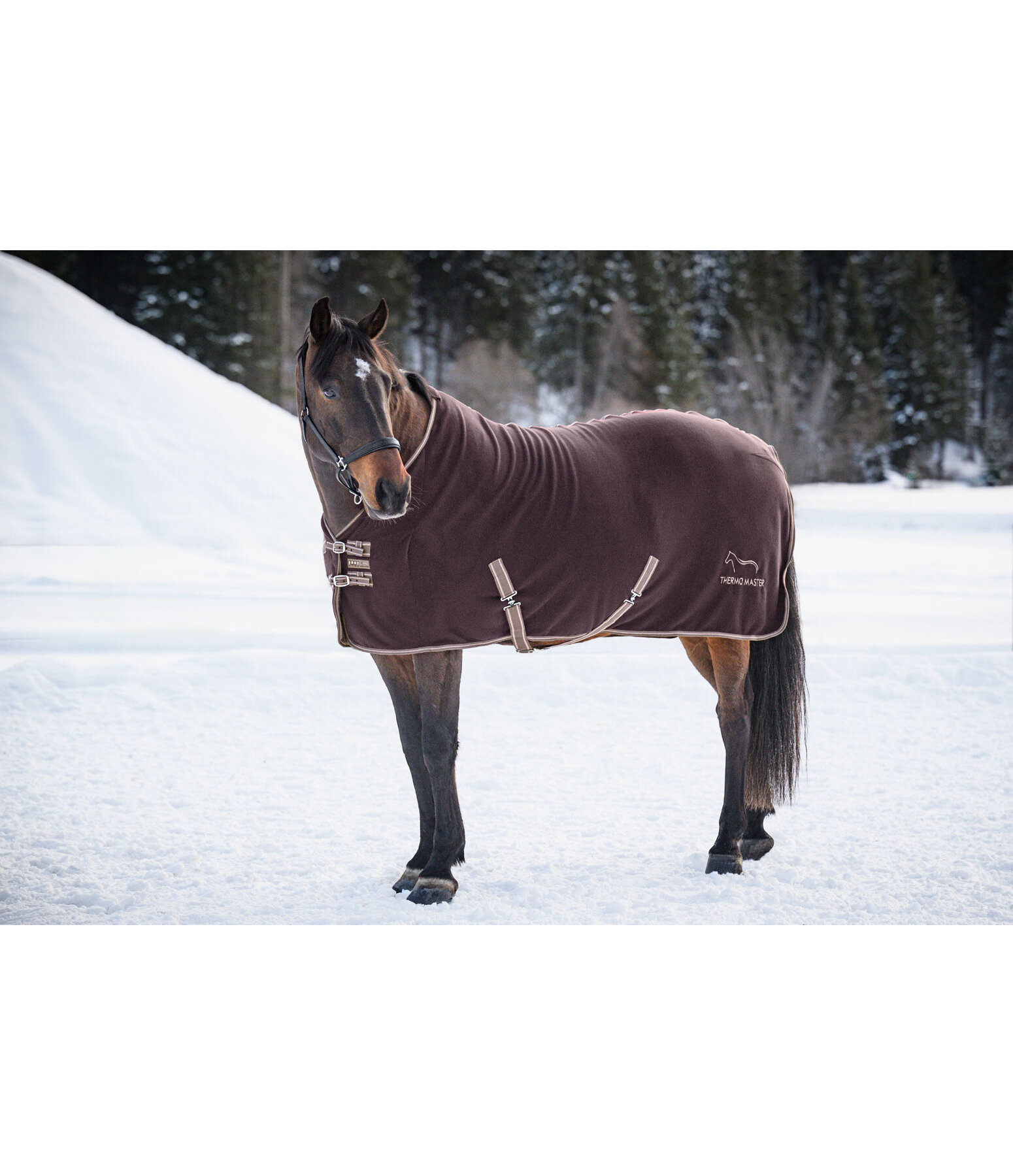 Fleece Rug Activity