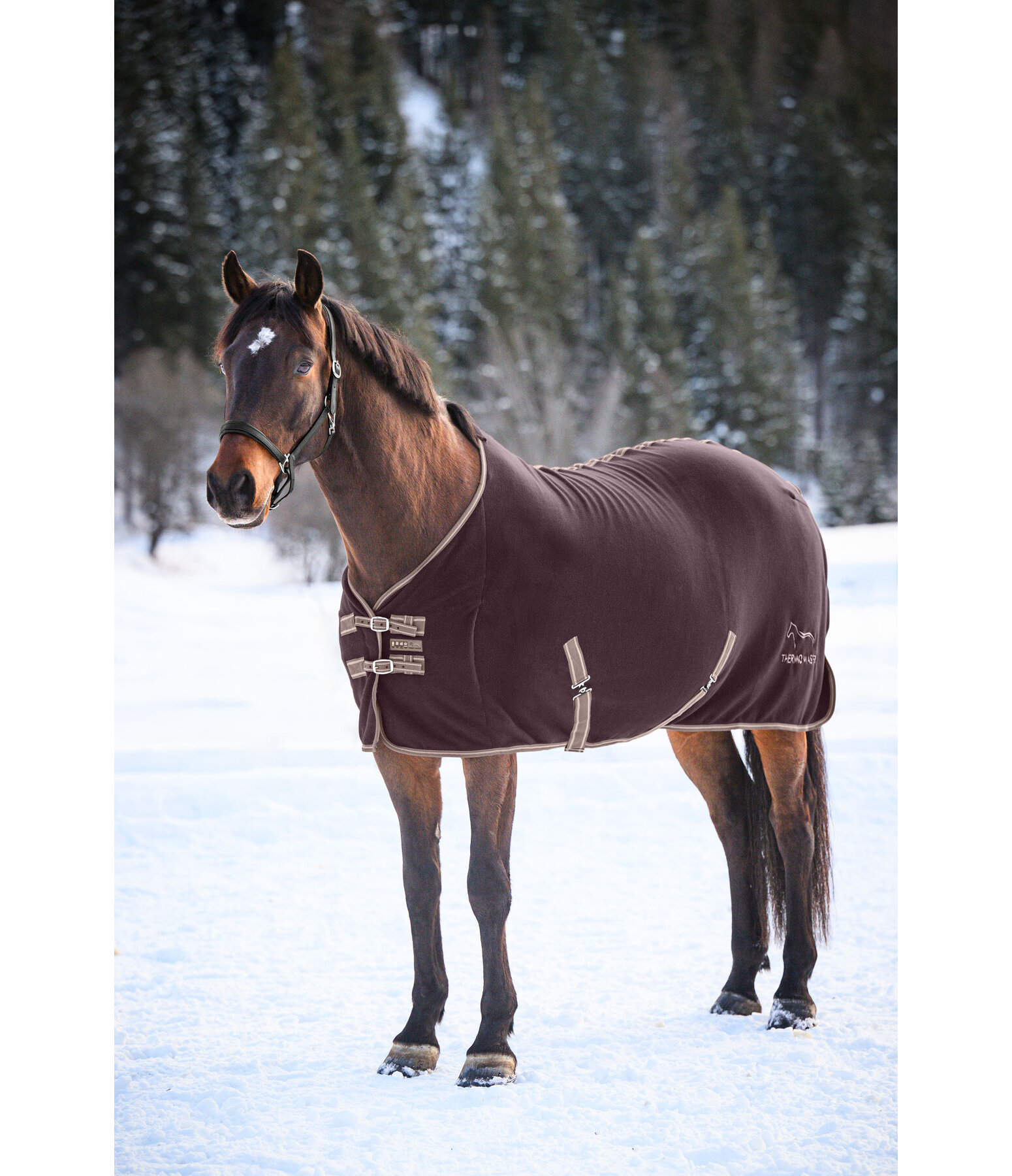 Fleece Rug Activity