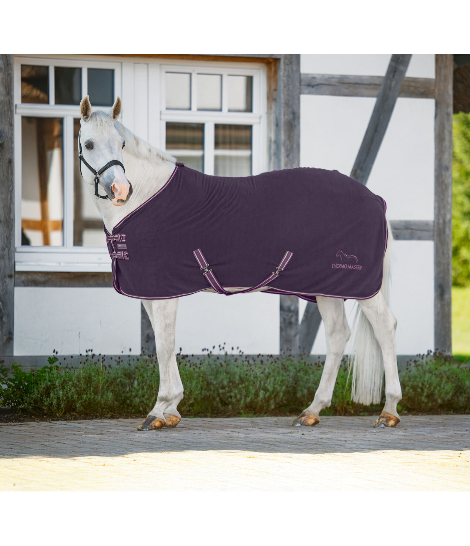 Fleece Rug Activity