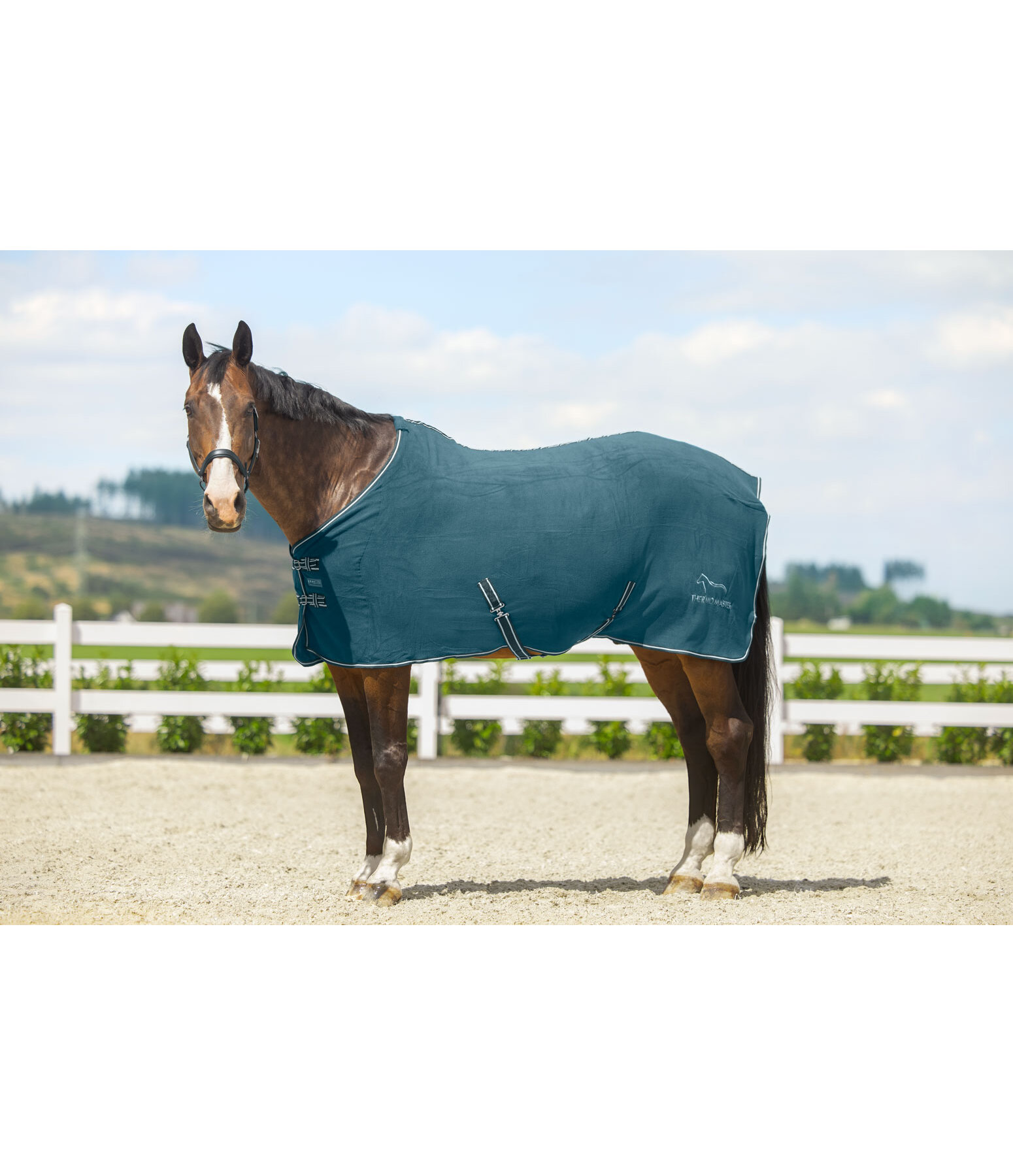 Fleece Rug Activity