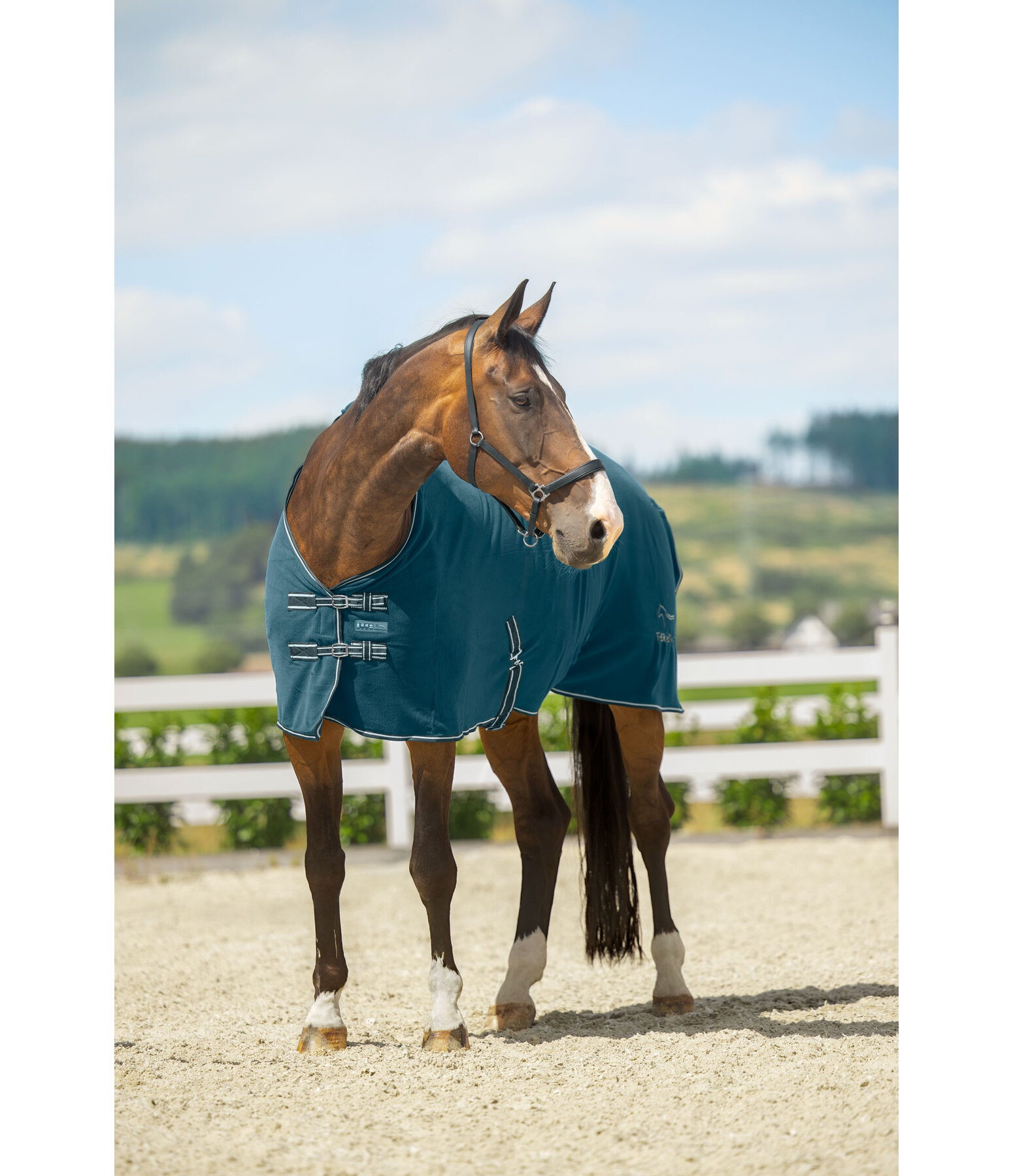 Fleece Rug Activity