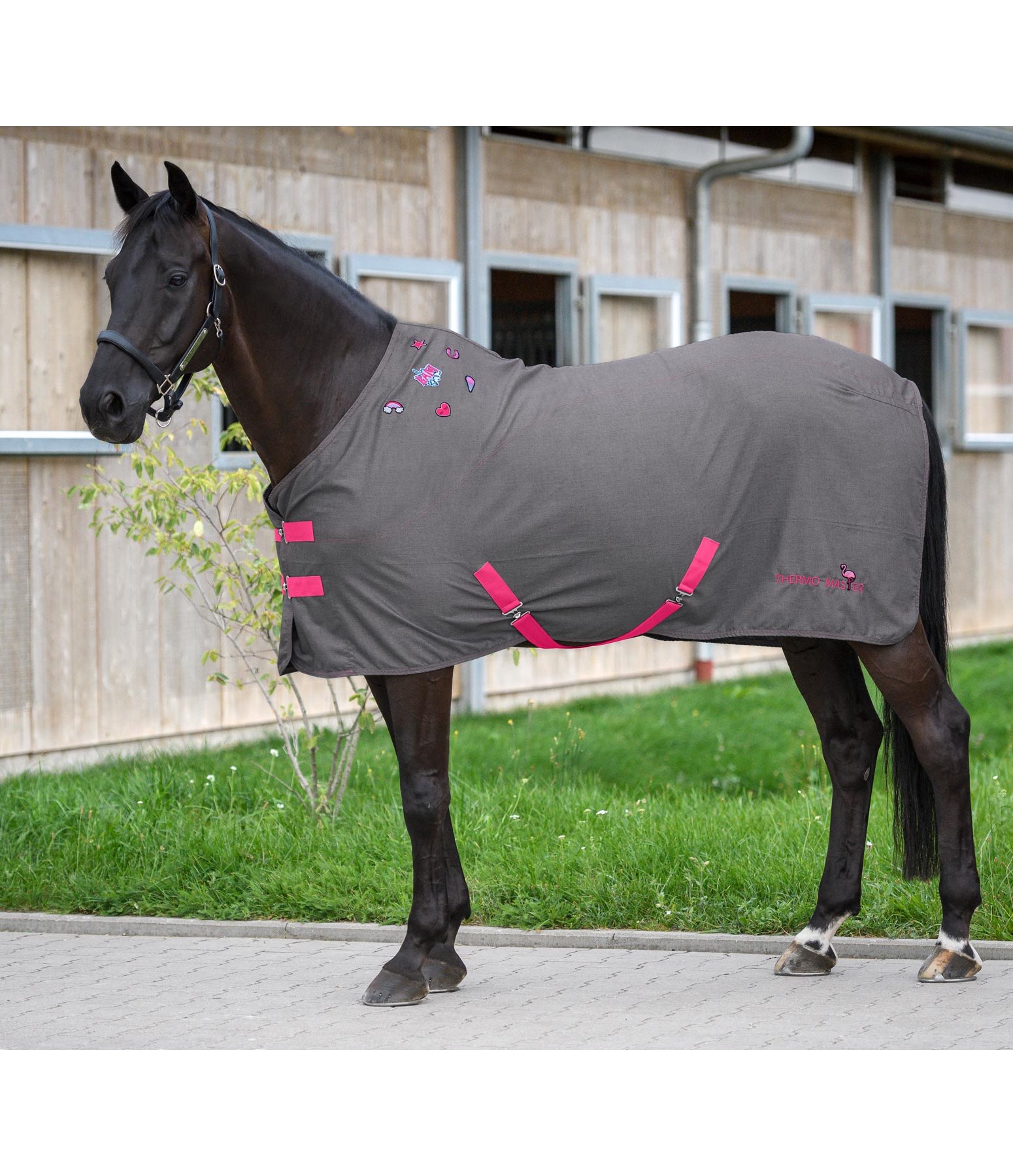 Summer Stable Rug Badges Stable Rugs Kramer Equestrian