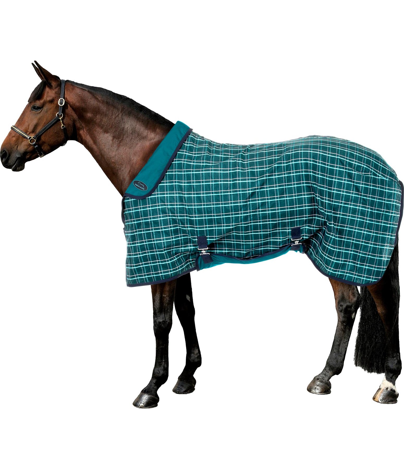 Summer Stable Rug PullOver Stable Rugs Kramer Equestrian