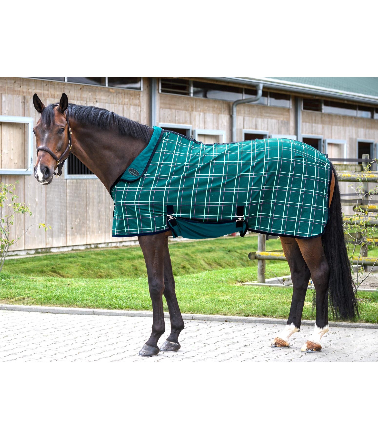Summer Stable Rug PullOver Stable Rugs Kramer Equestrian
