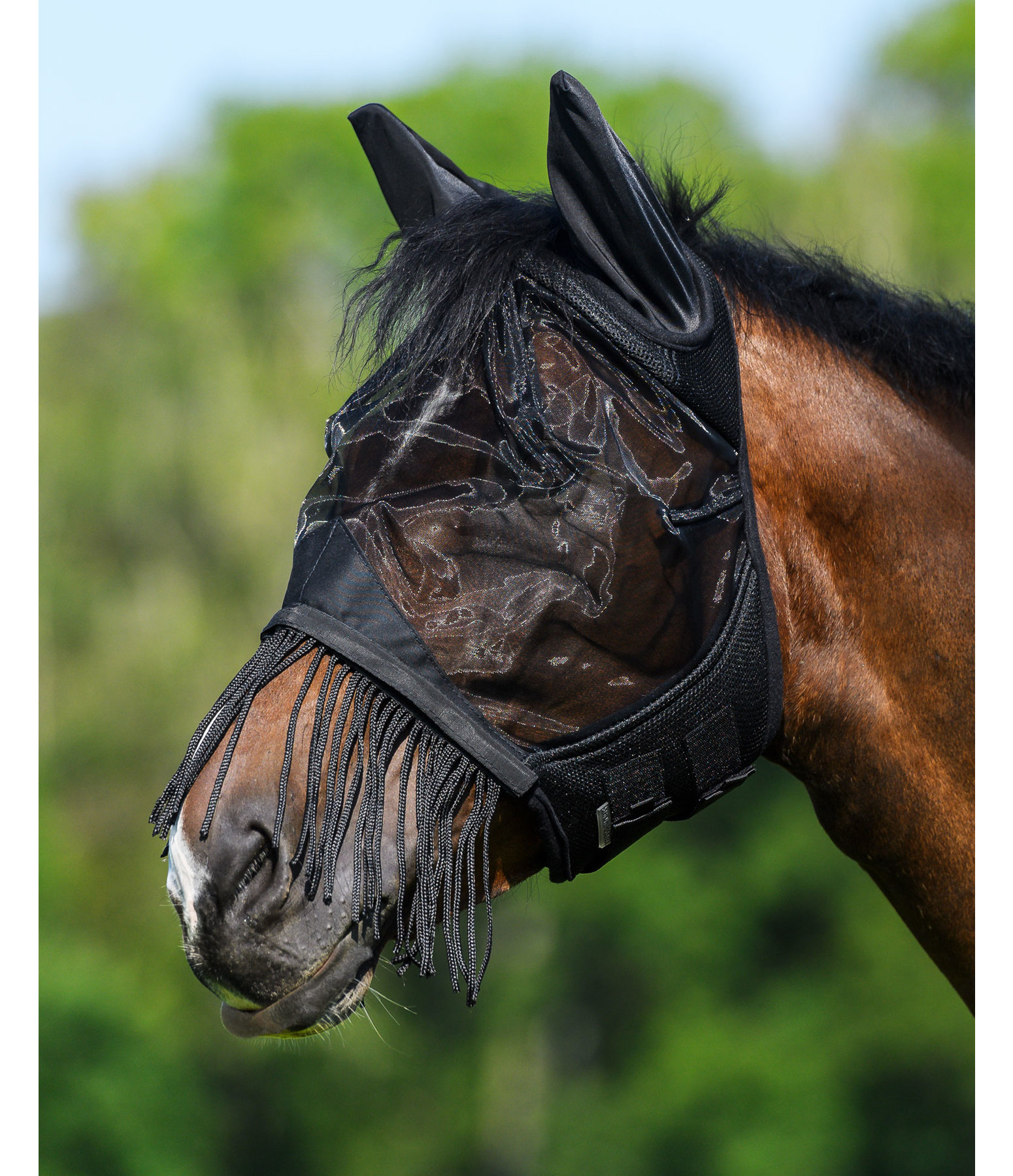 Fly Mask 3 in 1