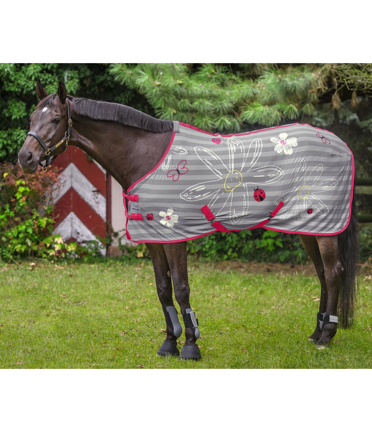 Fly Rug Good Luck Fly Rugs & Accessories Kramer Equestrian