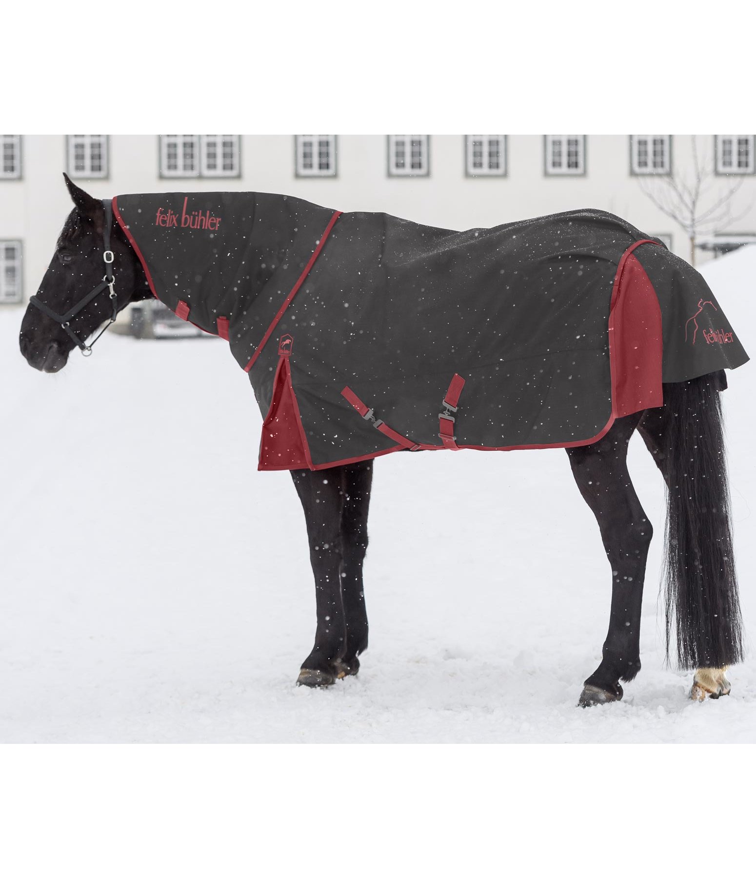 Winter Rug Ceramic Warm up, 50g Kramer Equestrian