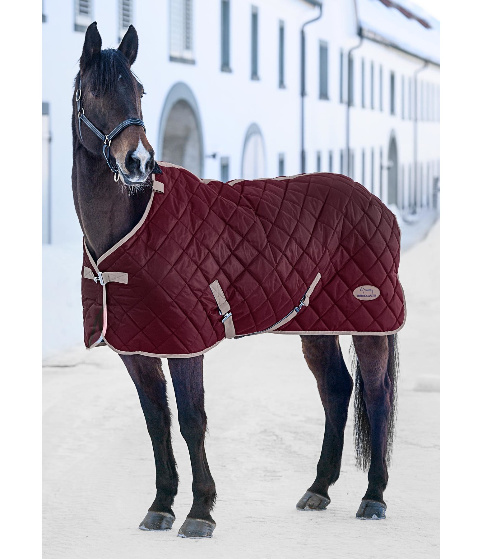 Stable Rug Aki II, 200 g Stable Rugs Kramer Equestrian