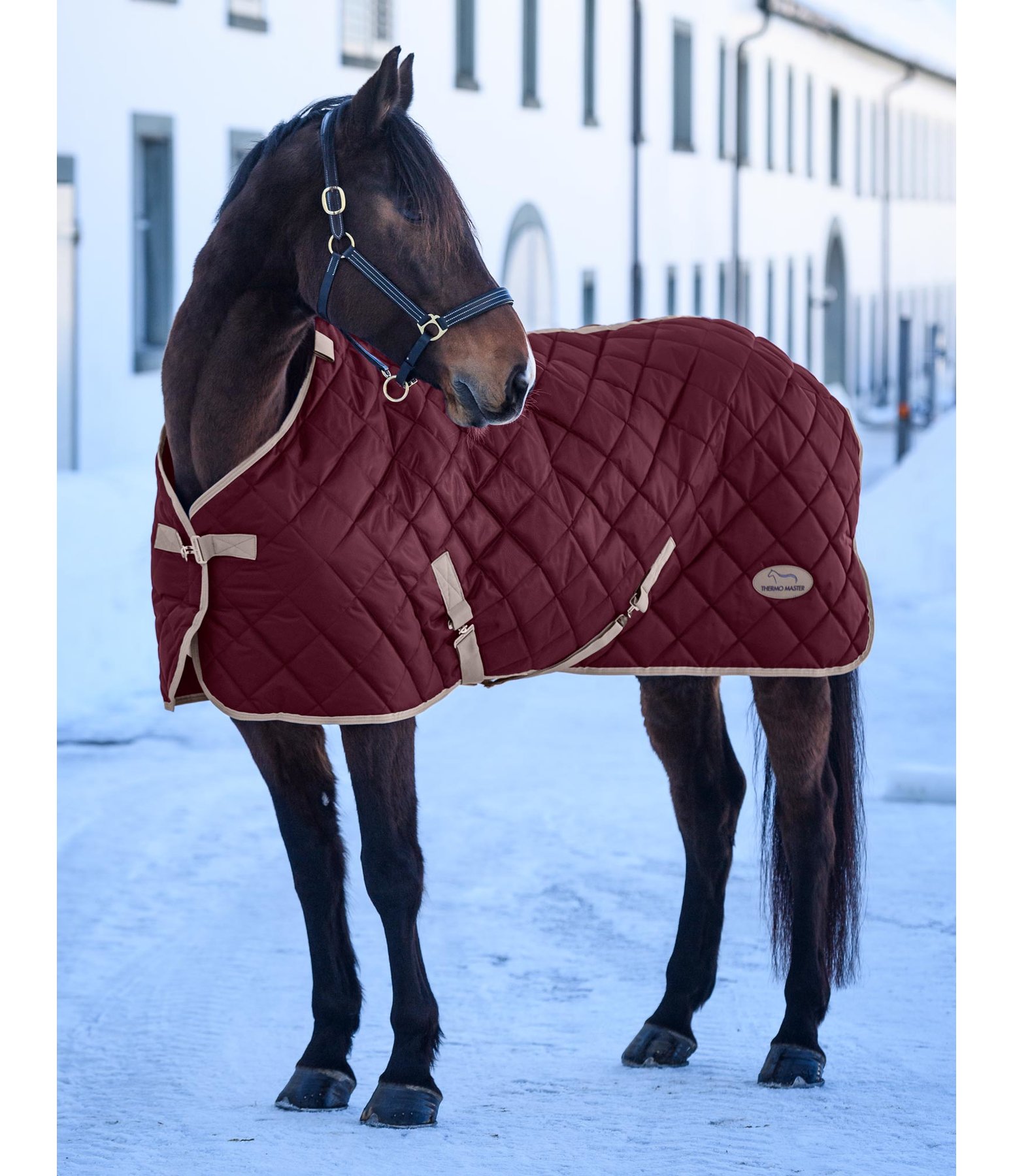 Stable Rug Aki II, 200 g Stable Rugs Kramer Equestrian