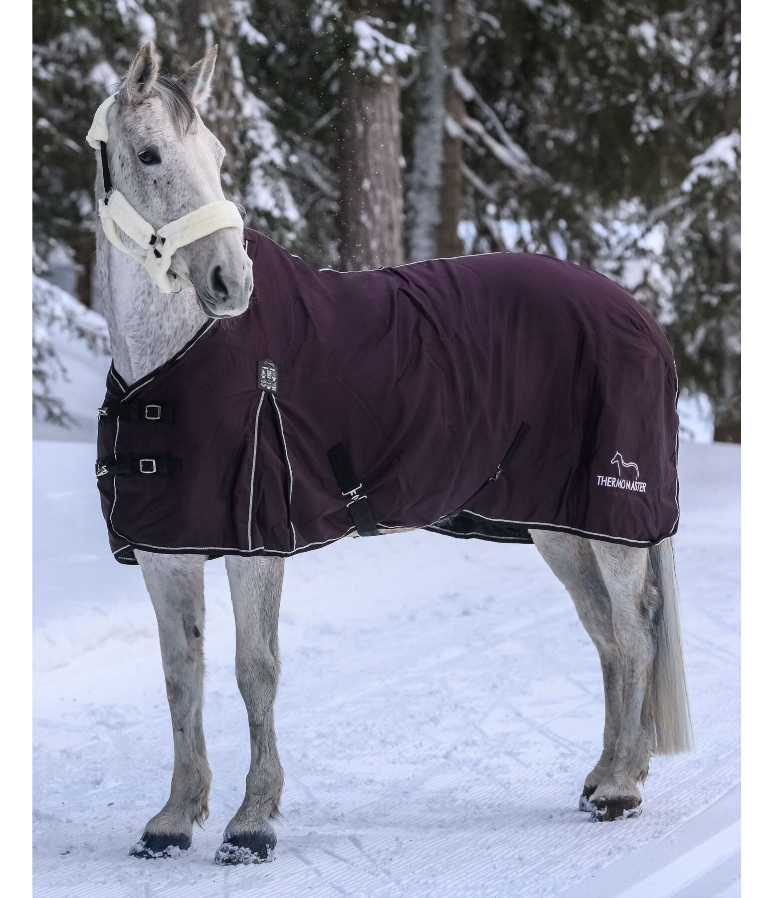 Winter Transitional Stable Rug with Fleece Lining Kramer Equestrian