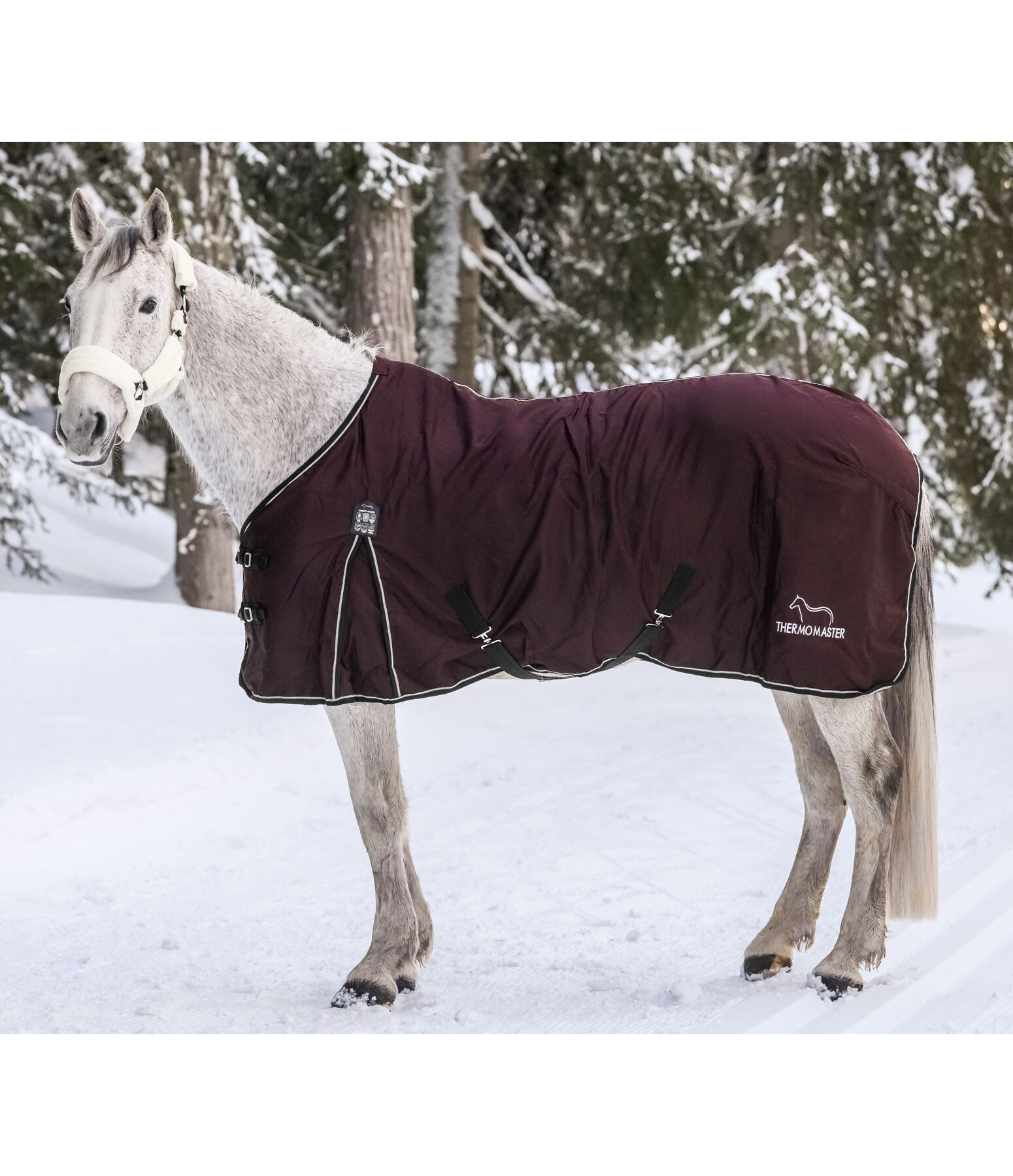 Winter Transitional Stable Rug with Fleece Lining Kramer Equestrian
