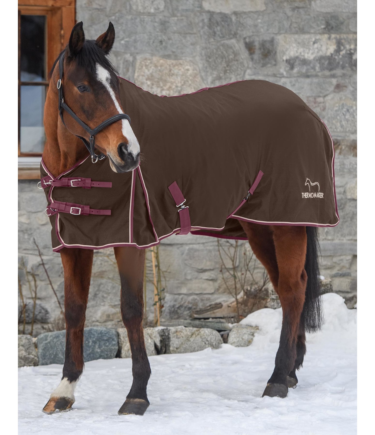 stable rug