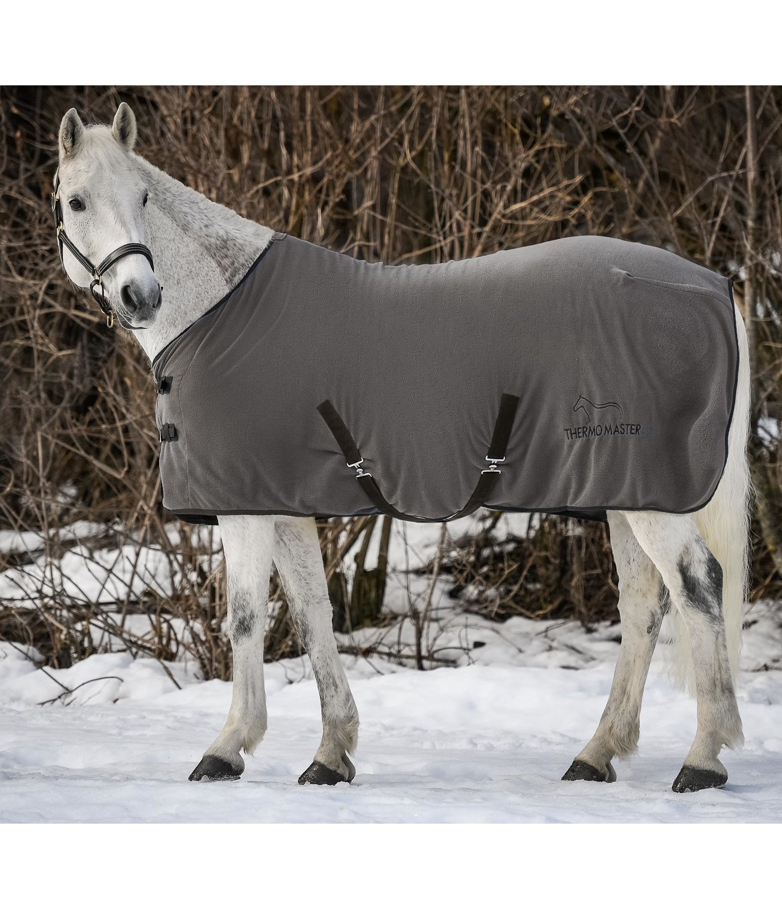 Cooler Rug Activity Coolers Kramer Equestrian