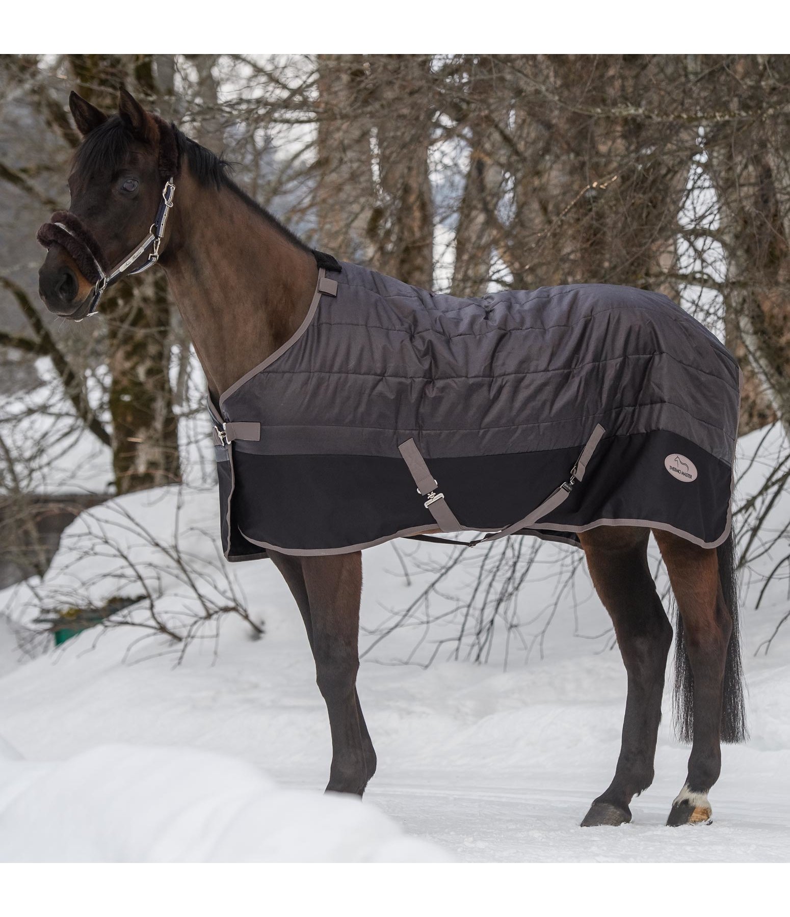 Combination Stable Rug Annecy II 150 g Stable Rugs Kramer Equestrian