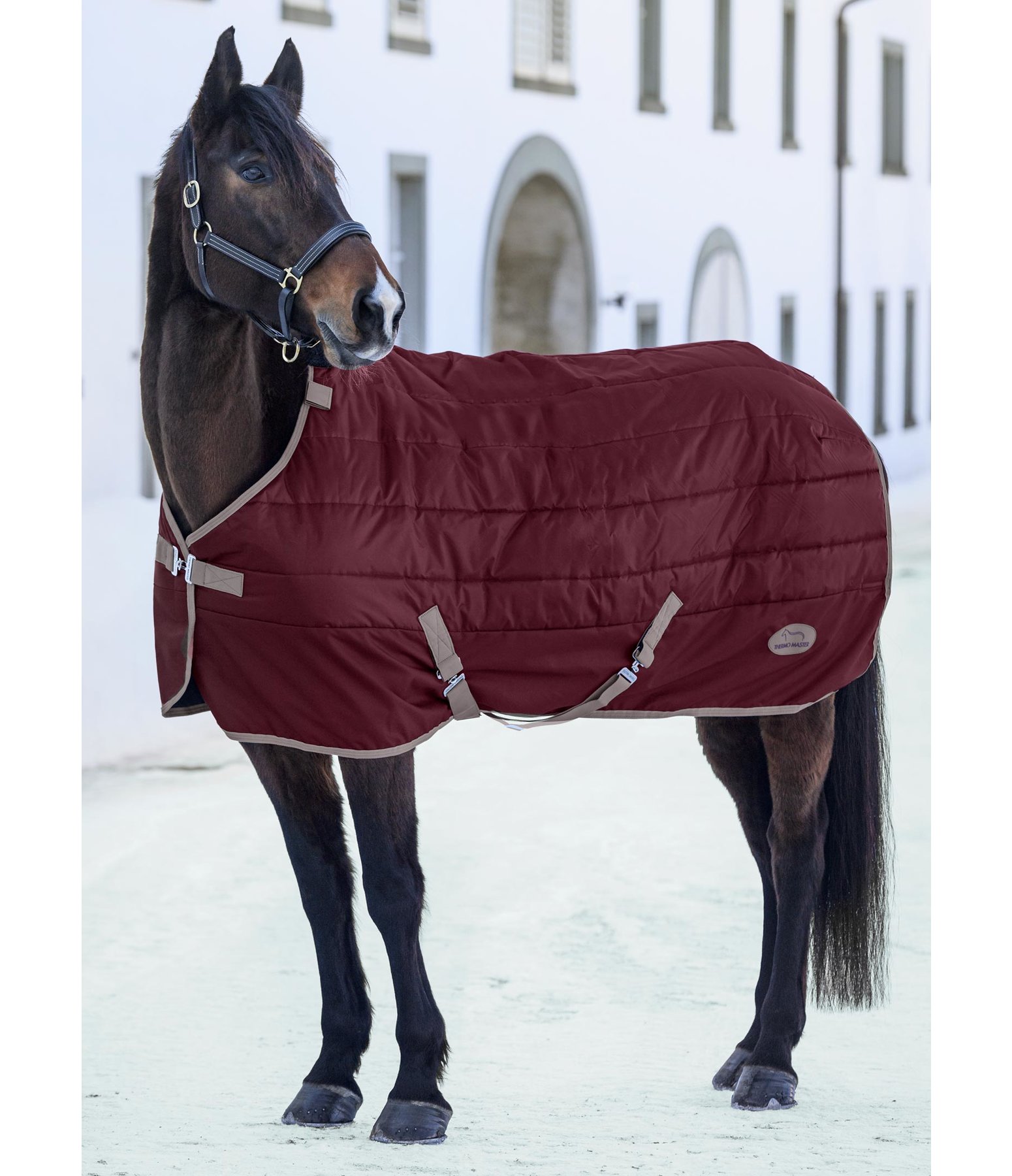 Combination Stable Rug Athen II 300 g Kramer Equestrian