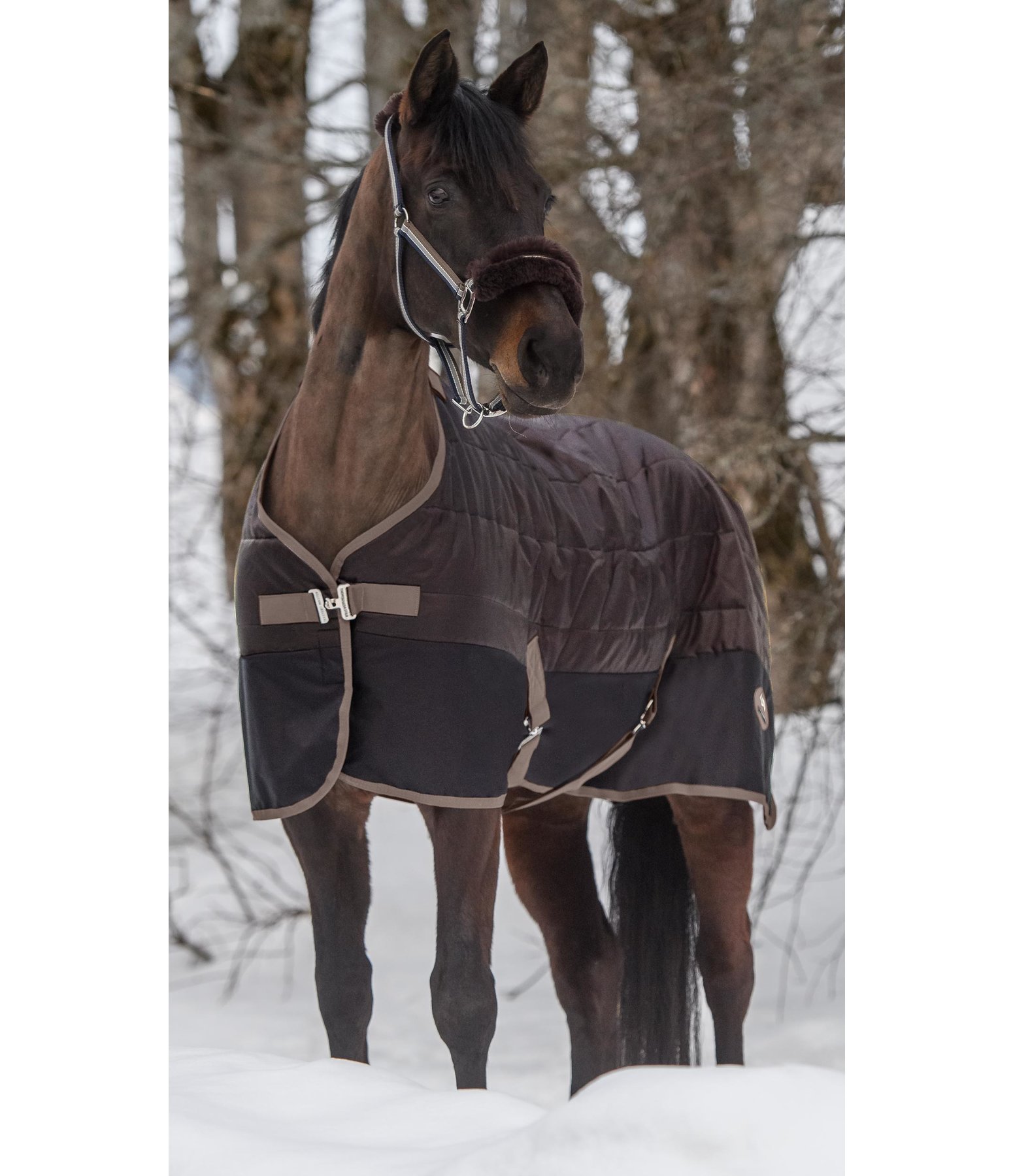 Combination Stable Rug Athen II 300 g Stable Rugs Kramer Equestrian