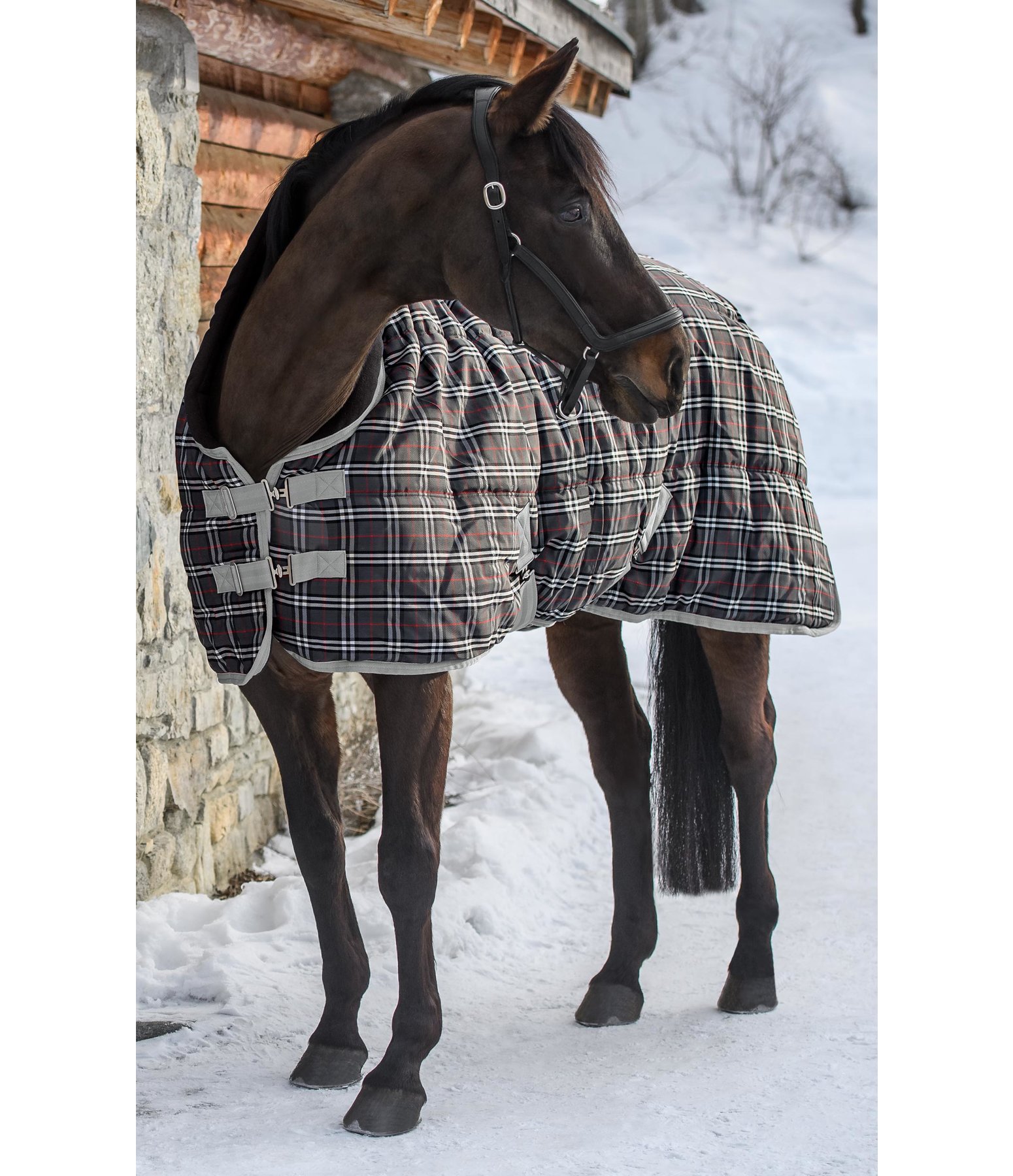 Winter Stable Rug Kolding, 300 g Kramer Equestrian