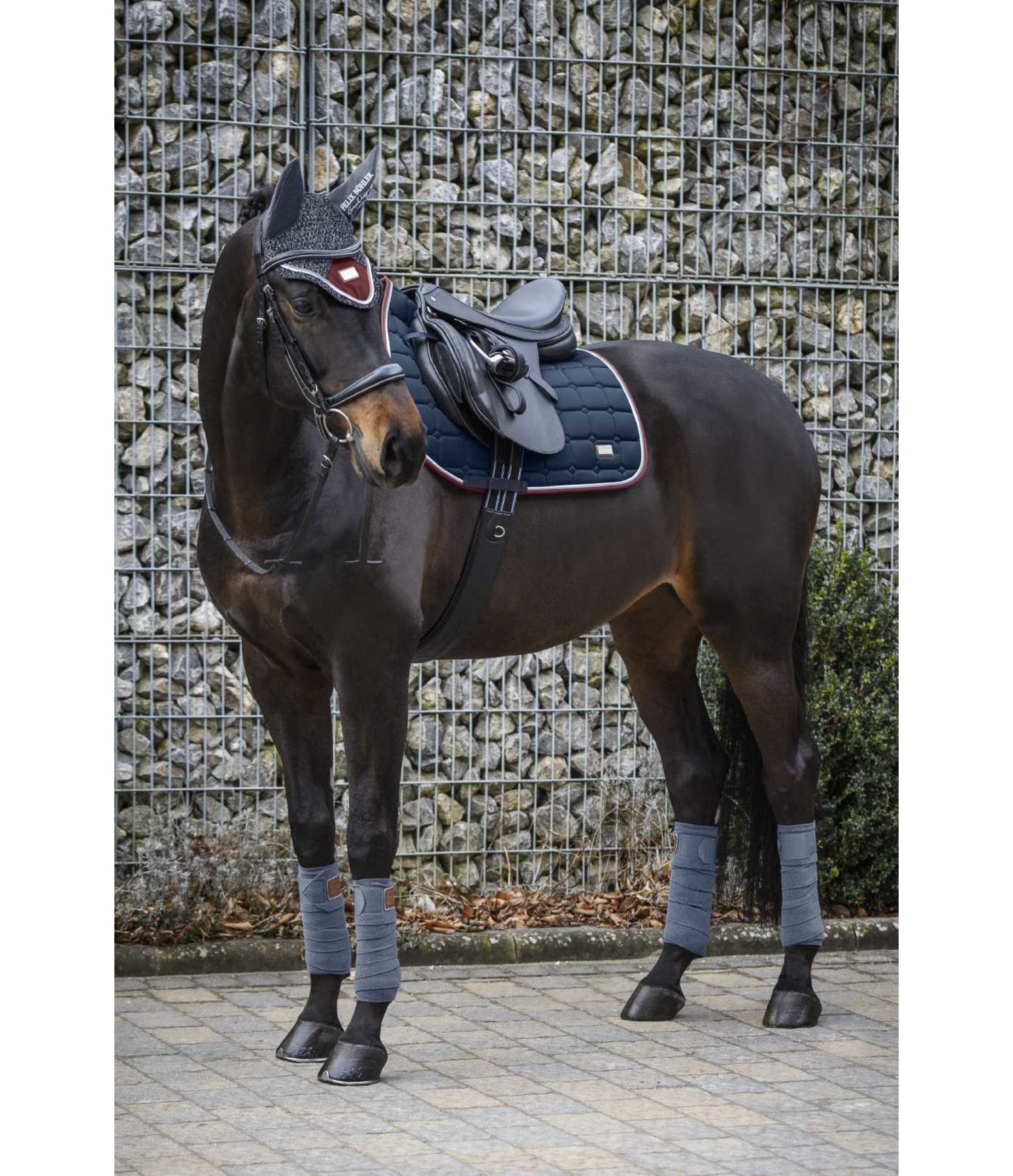 Fly Veil Autumn Breeze Felix Bühler Breeze Kramer Equestrian