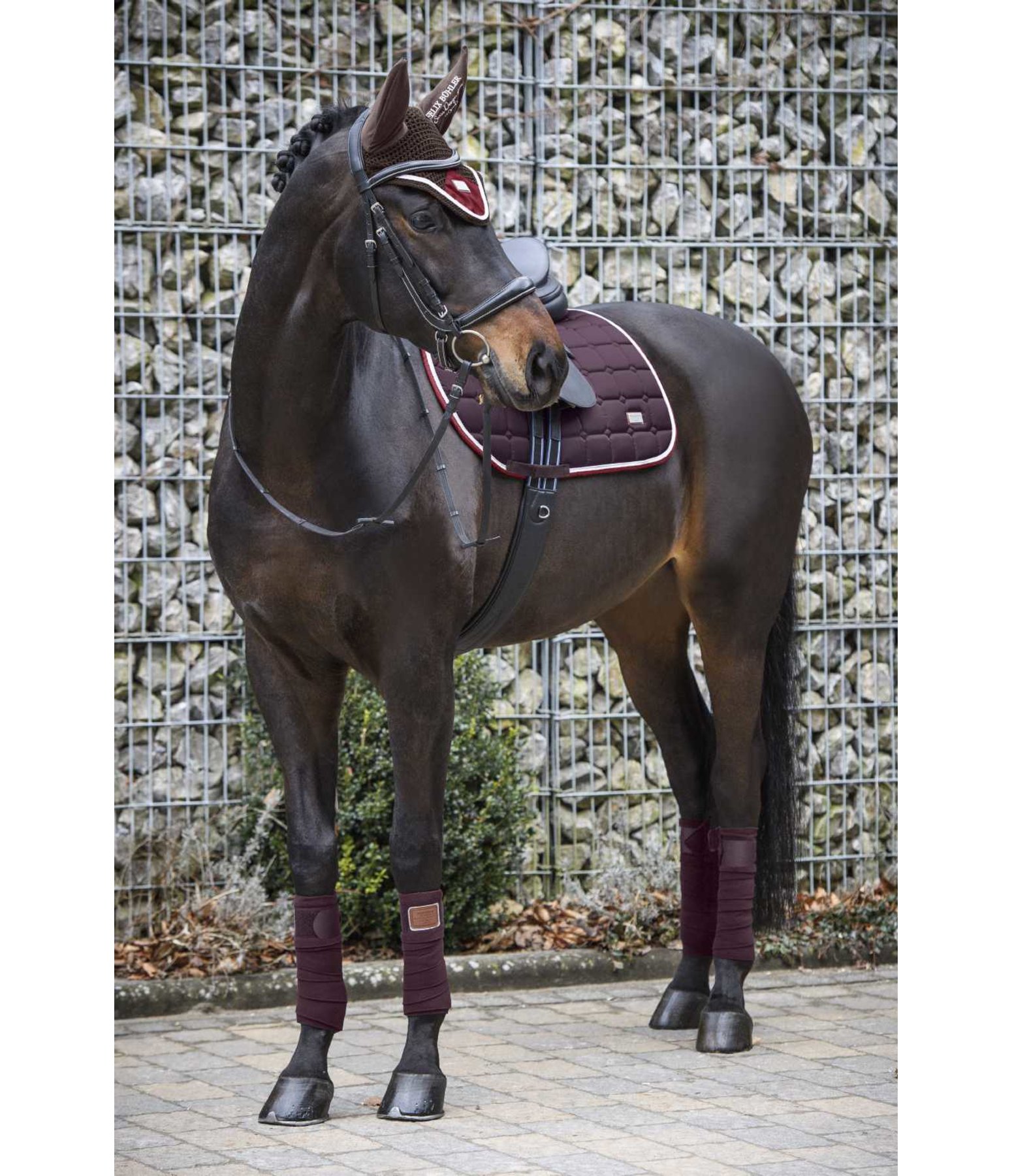 Fly Veil Autumn Breeze Felix Bühler Breeze Kramer Equestrian