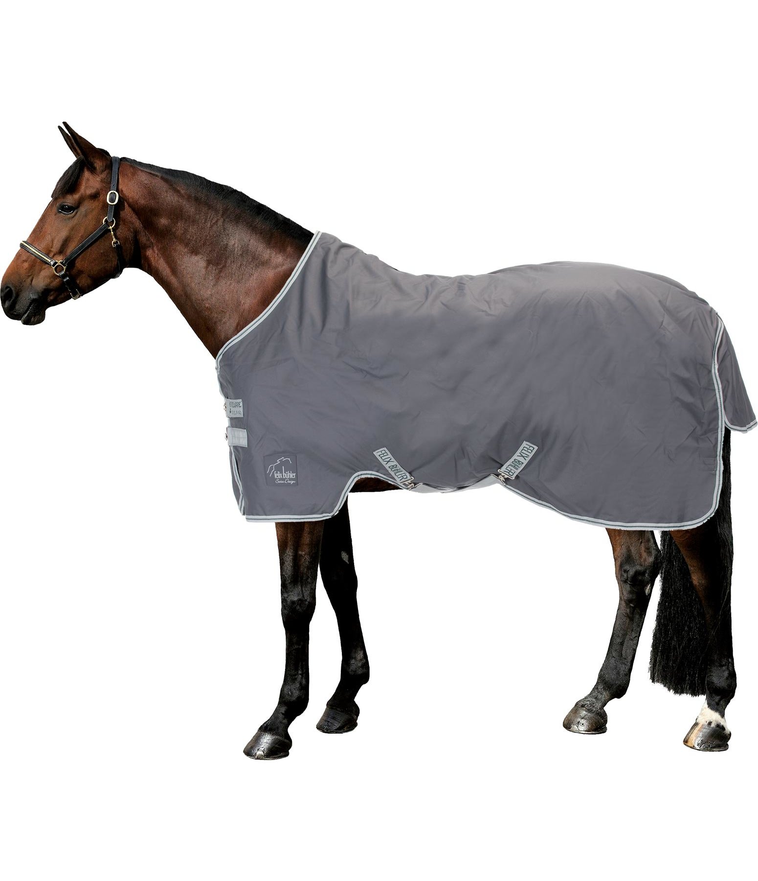 Special Turnout Rug Fleece Lined