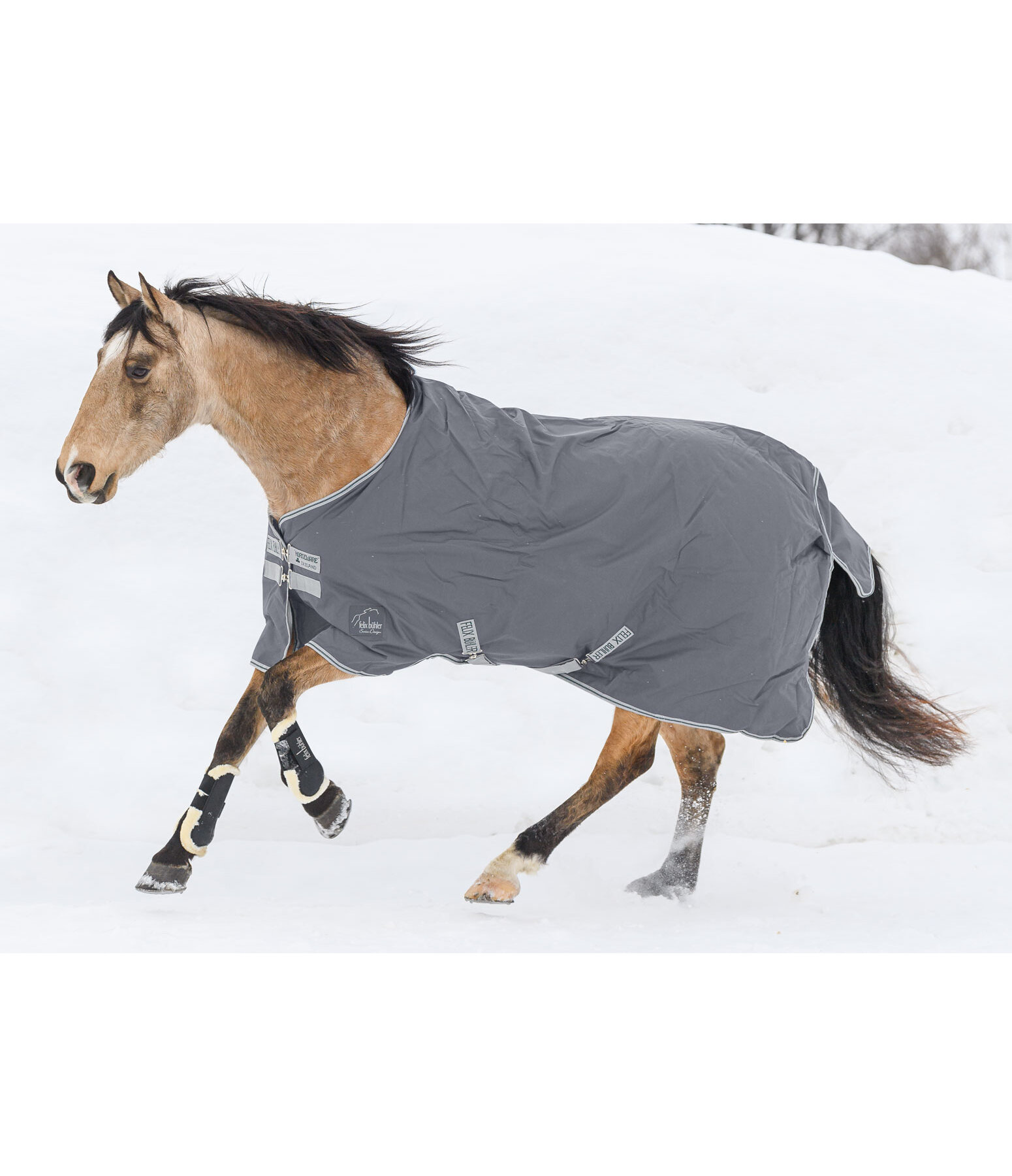 Special Turnout Rug Fleece Lined