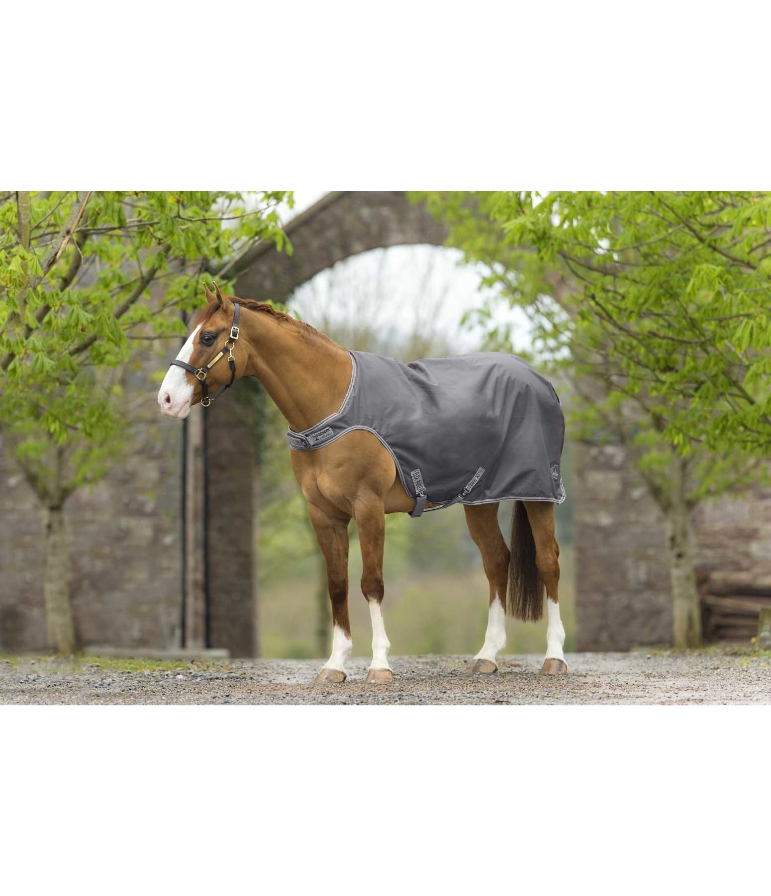 Walker Rug, 50g Walker & Leading Rugs Kramer Equestrian