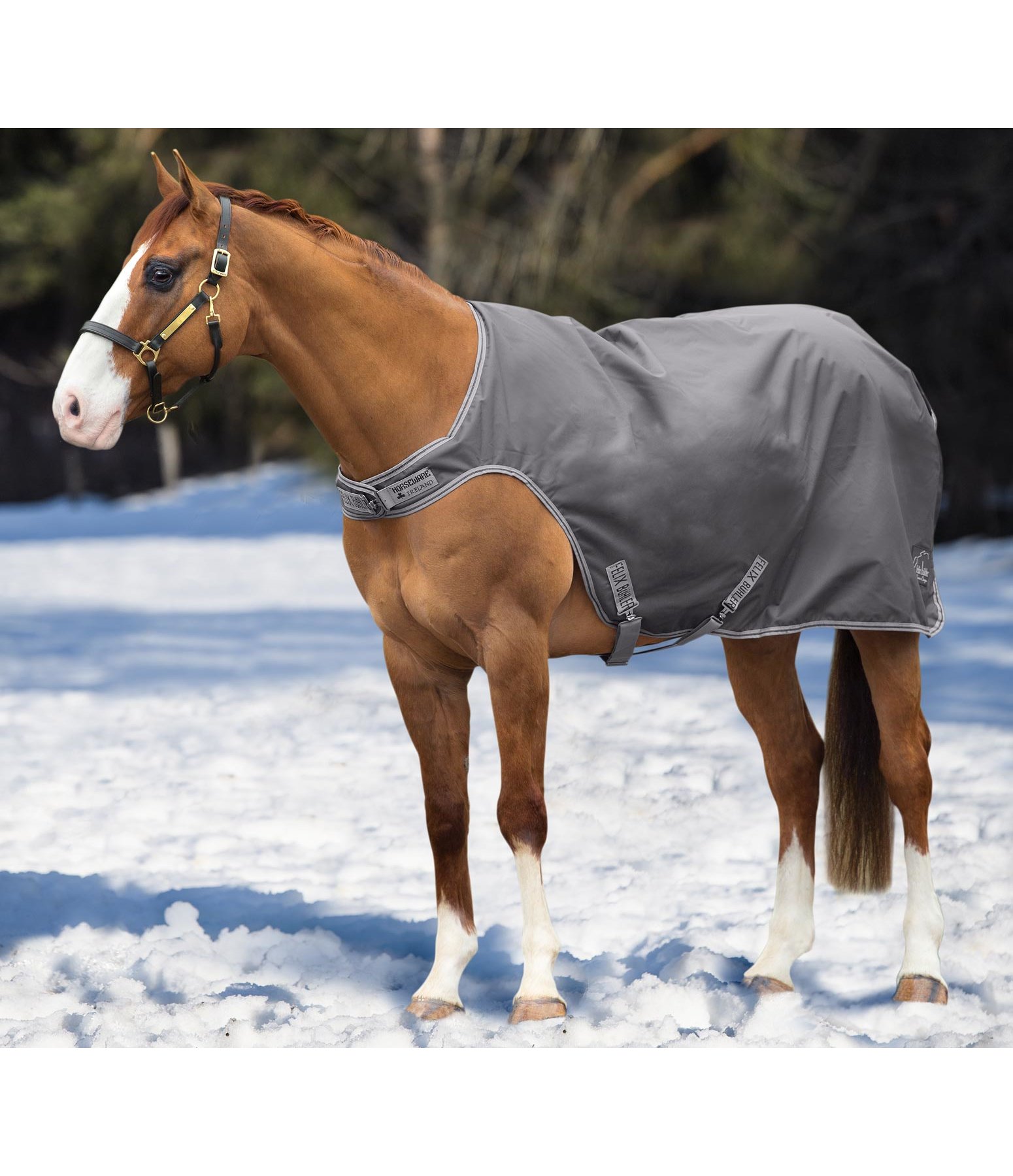 Walker Rug, 50g Horse Rugs Kramer Equestrian