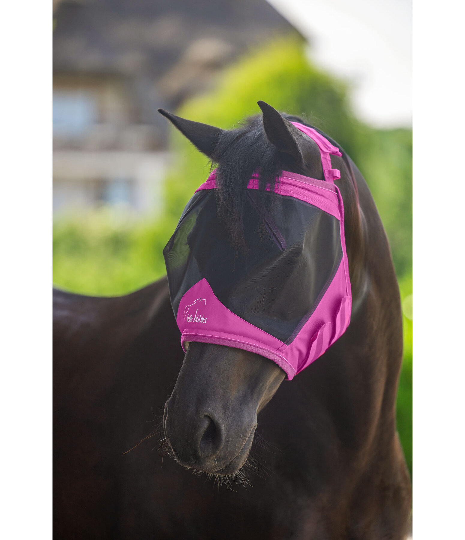 Fly Mask Ear-Free