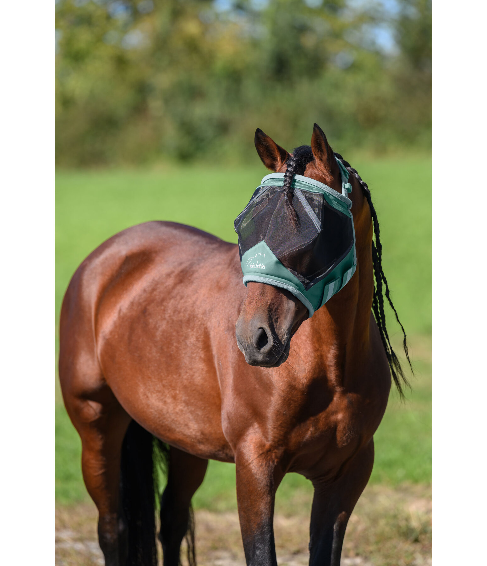Fly Mask Ear-Free