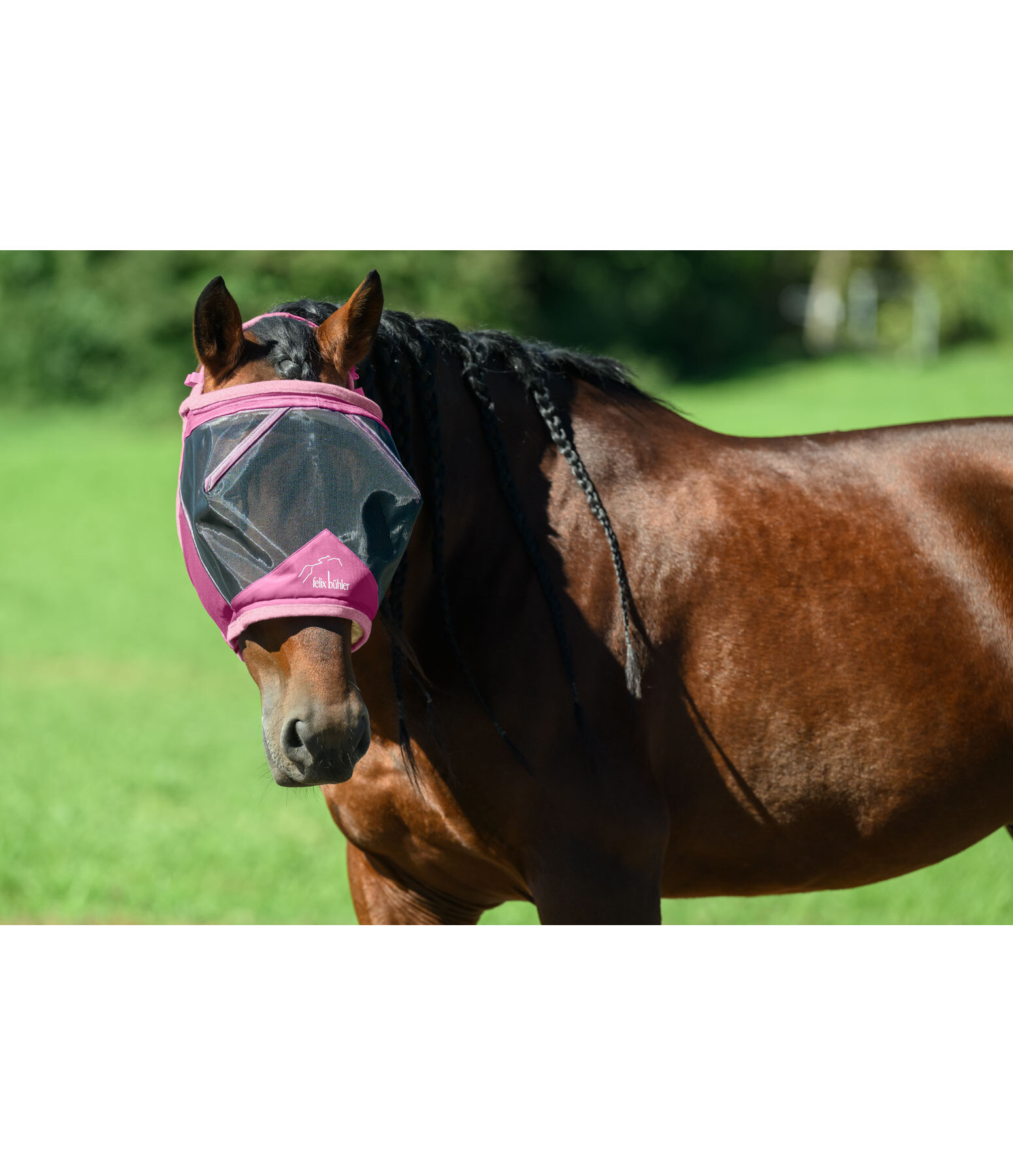 Fly Mask Ear-Free
