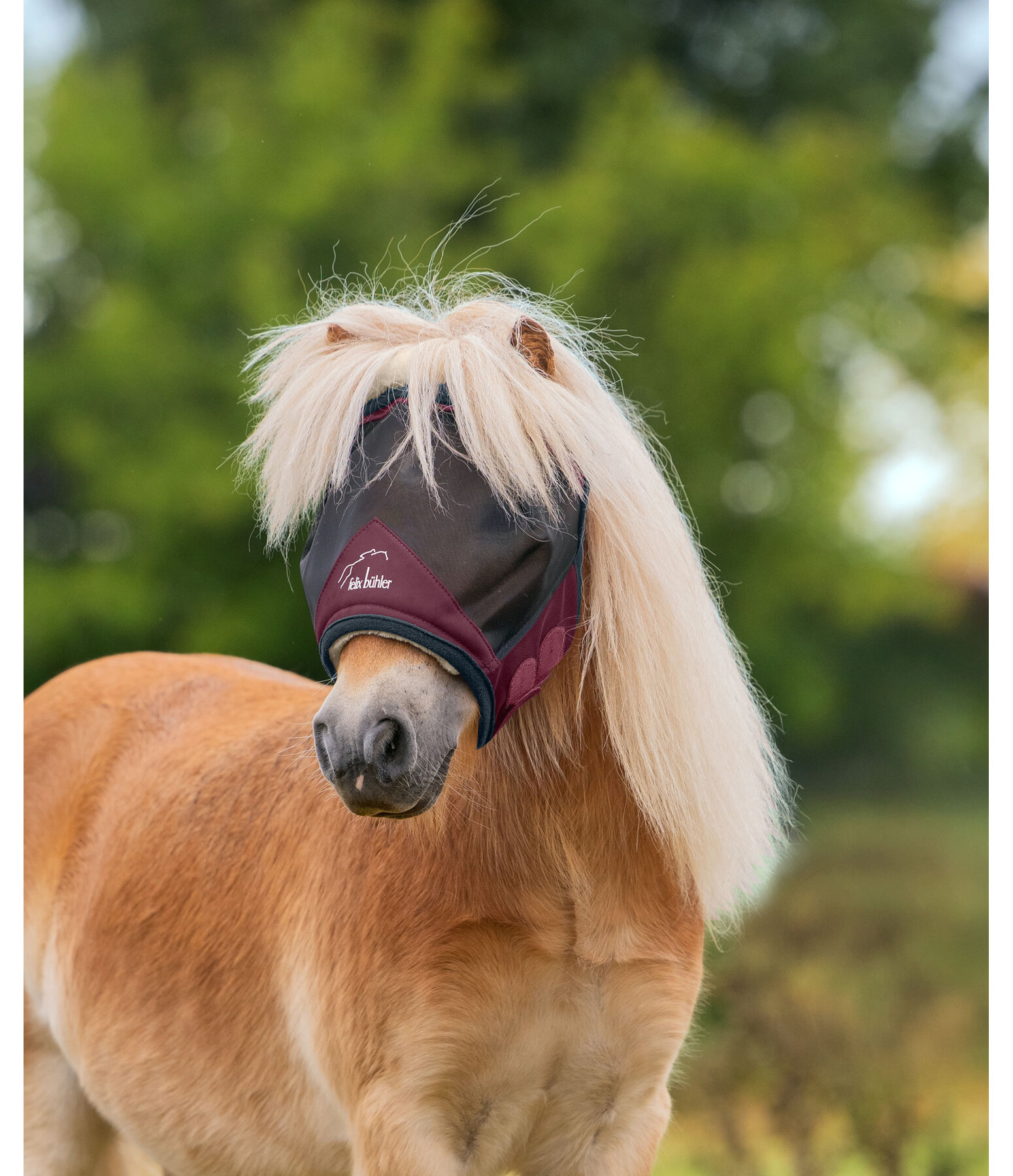 Fly Mask Ear-Free