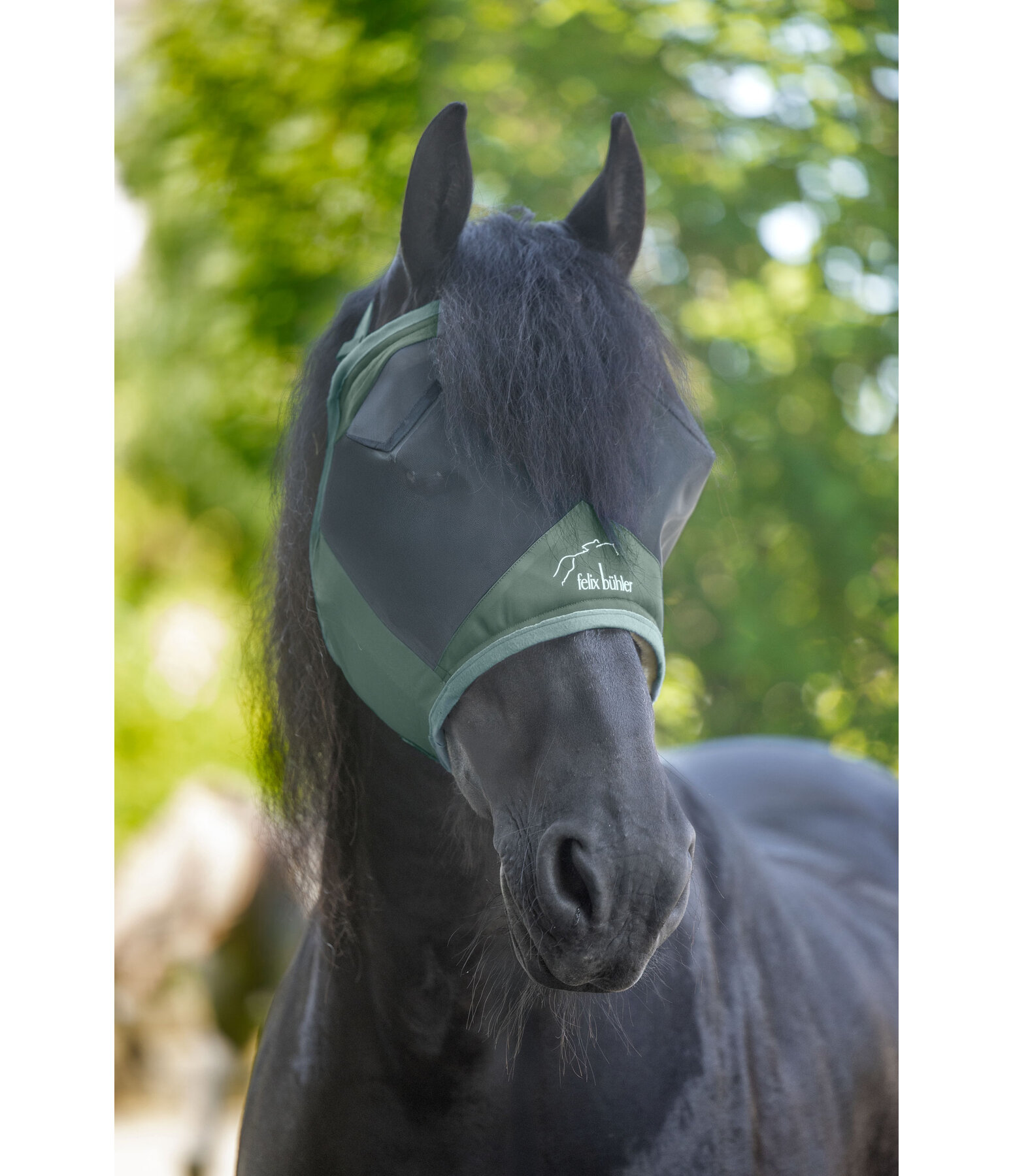 Fly Mask Ear-Free