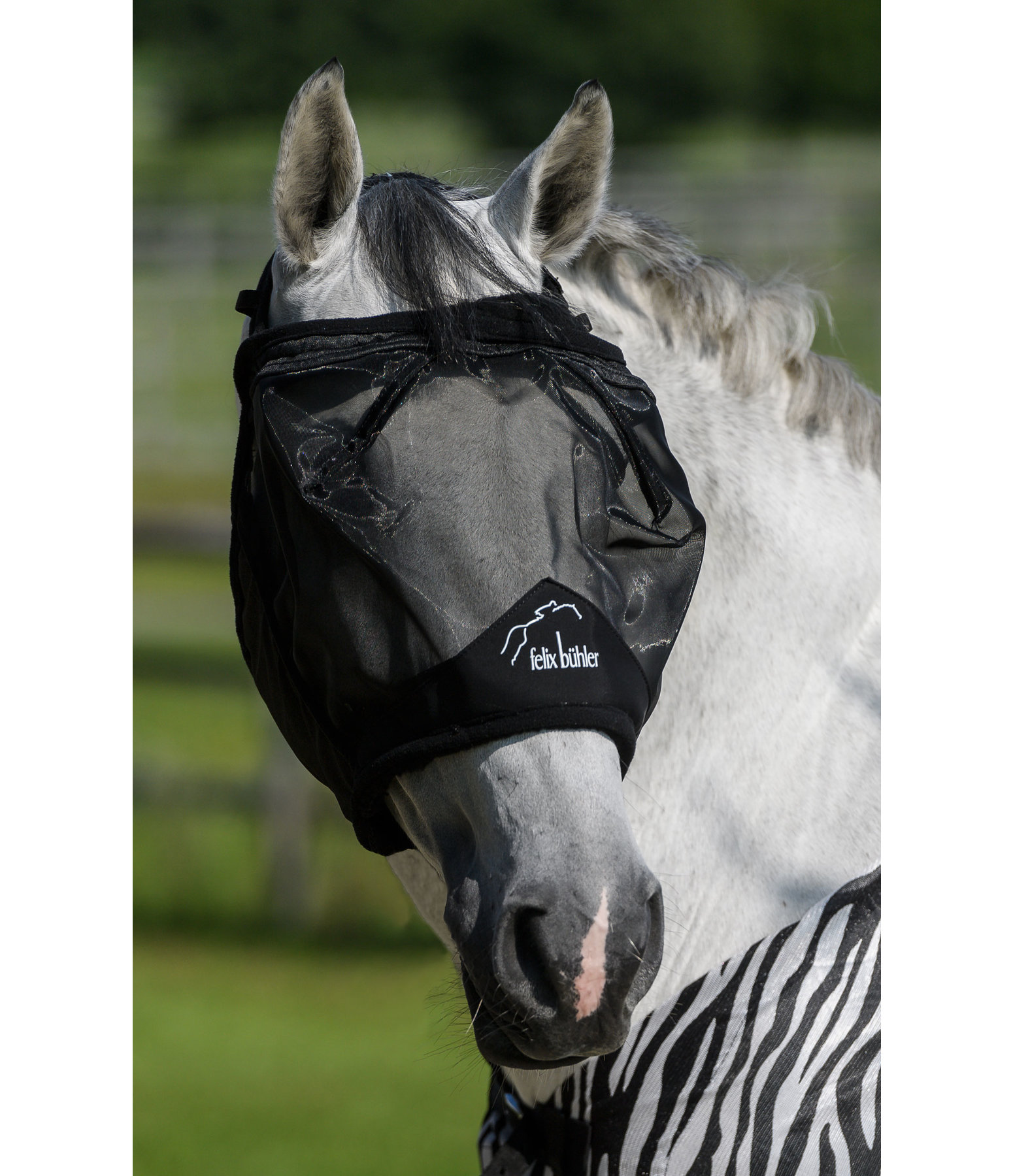 Fly Mask Ear-Free