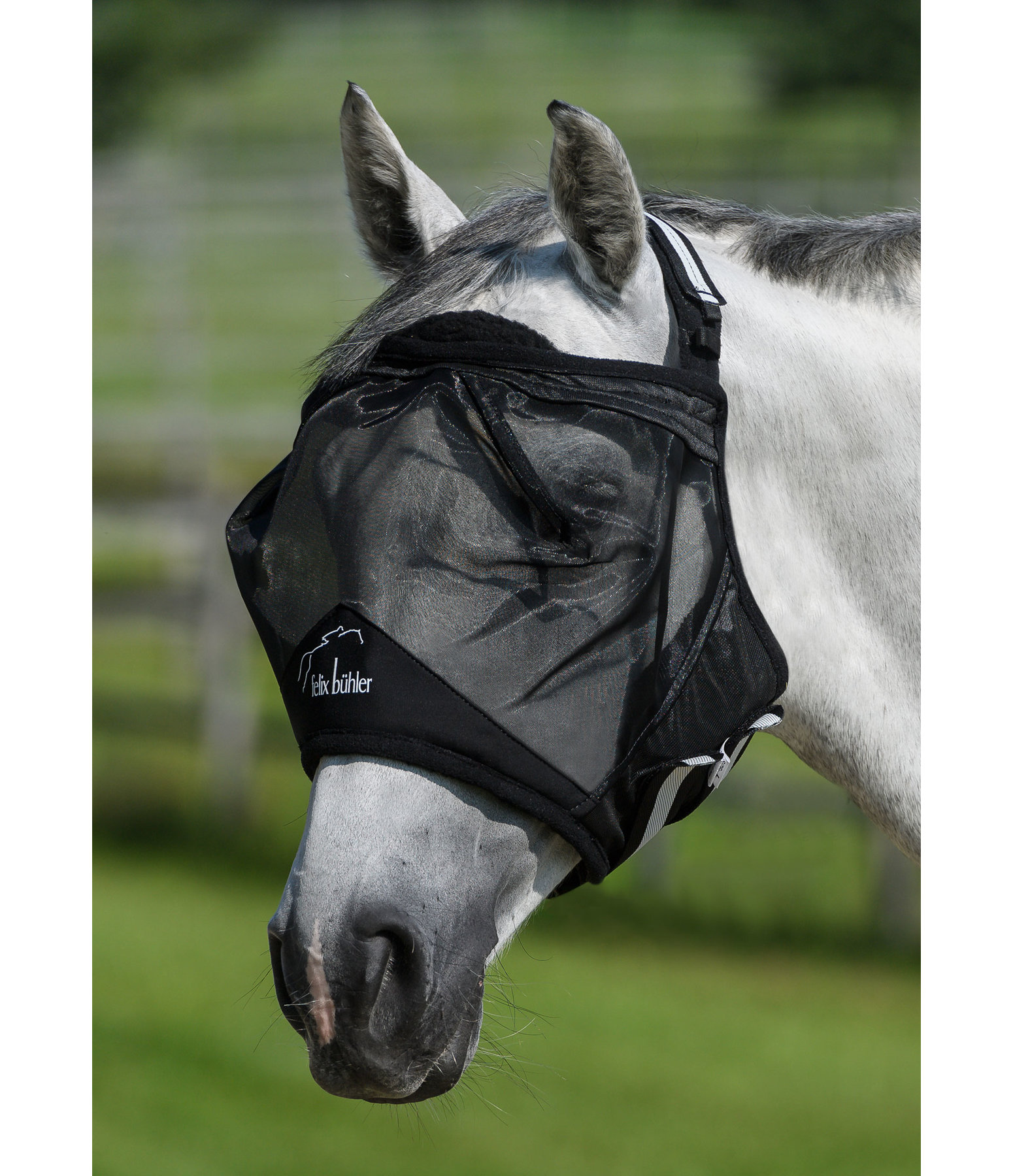 Fly Mask Ear-Free