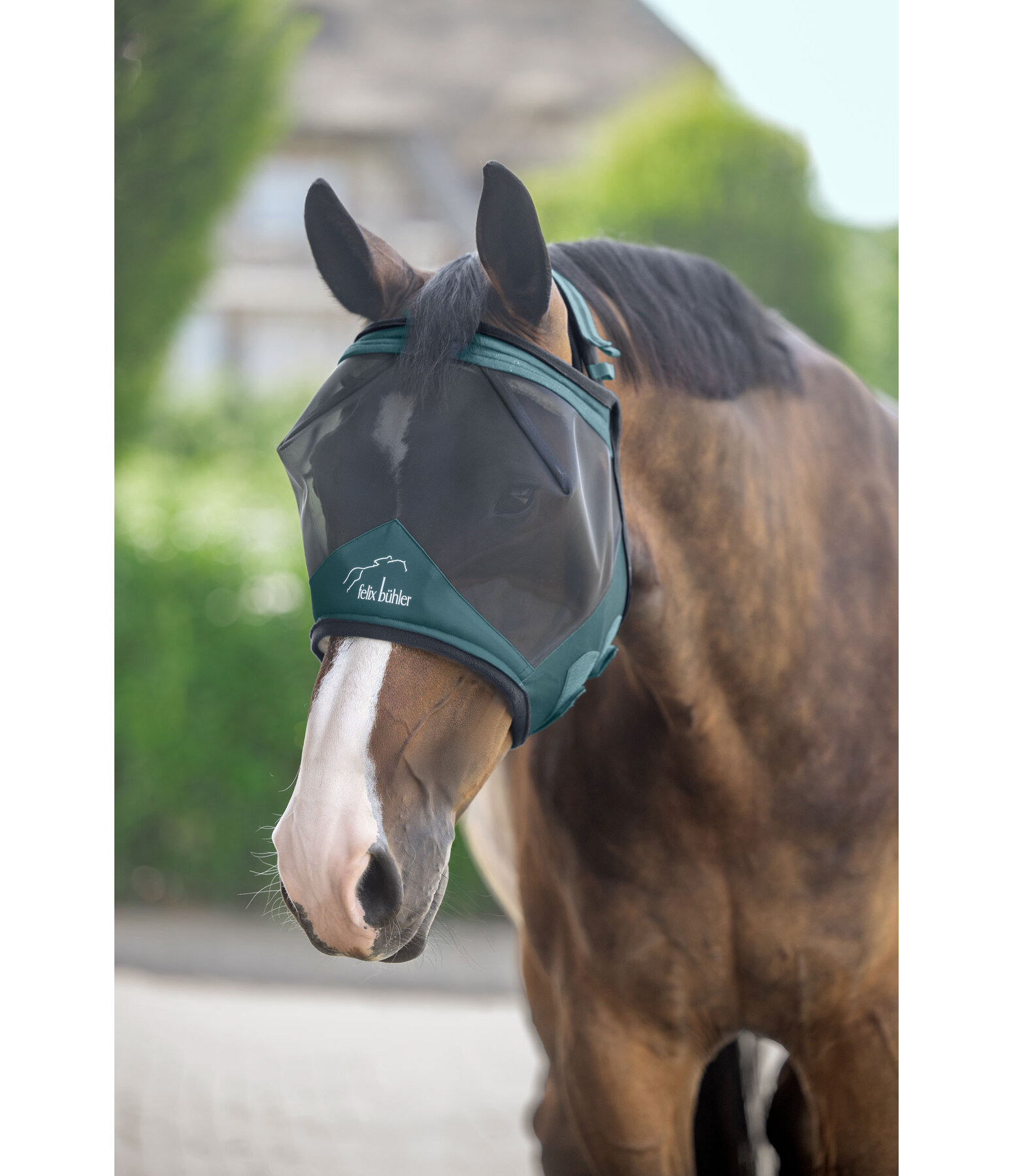 Fly Mask Ear-Free