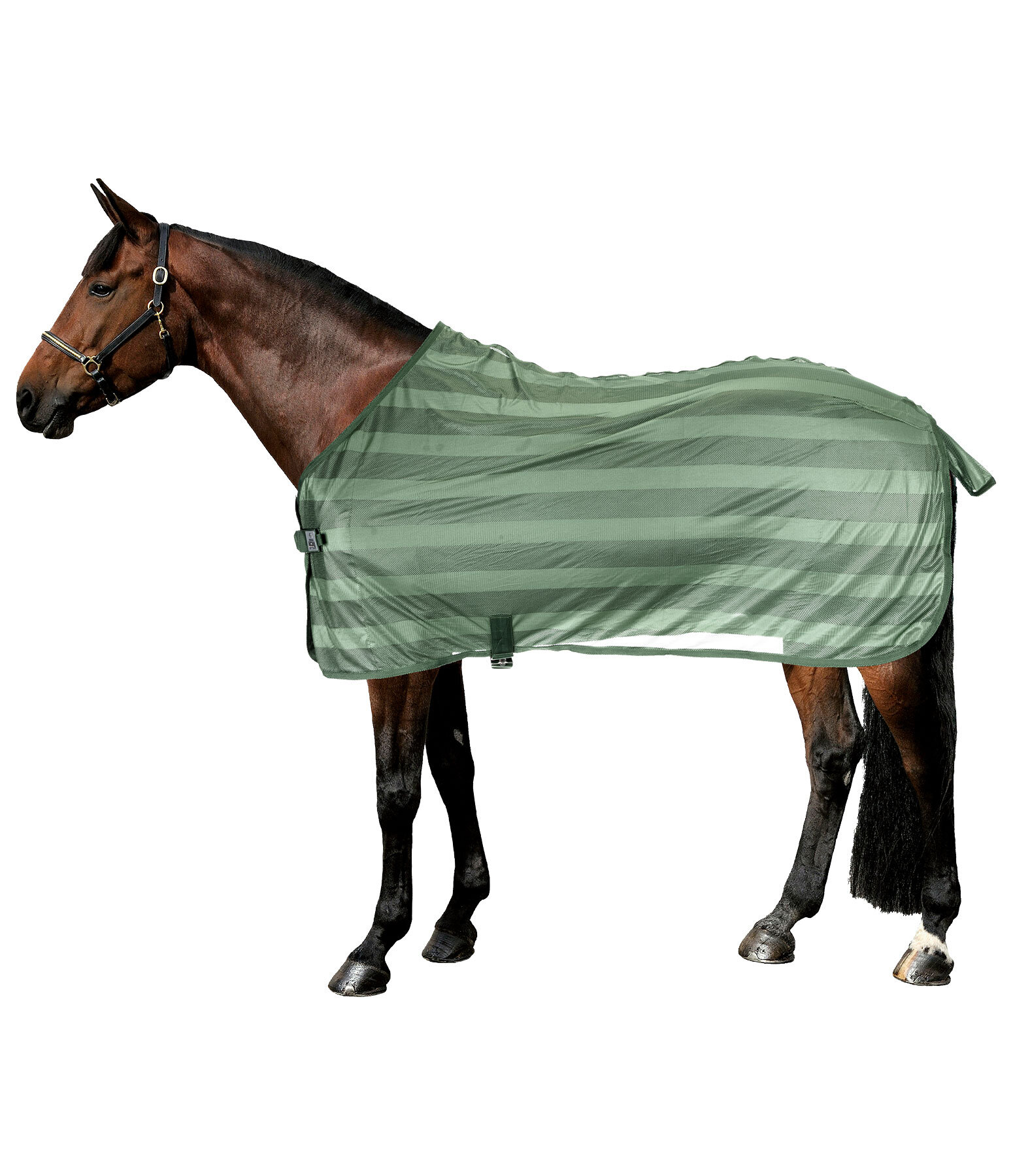 Fly Rug Economy Light